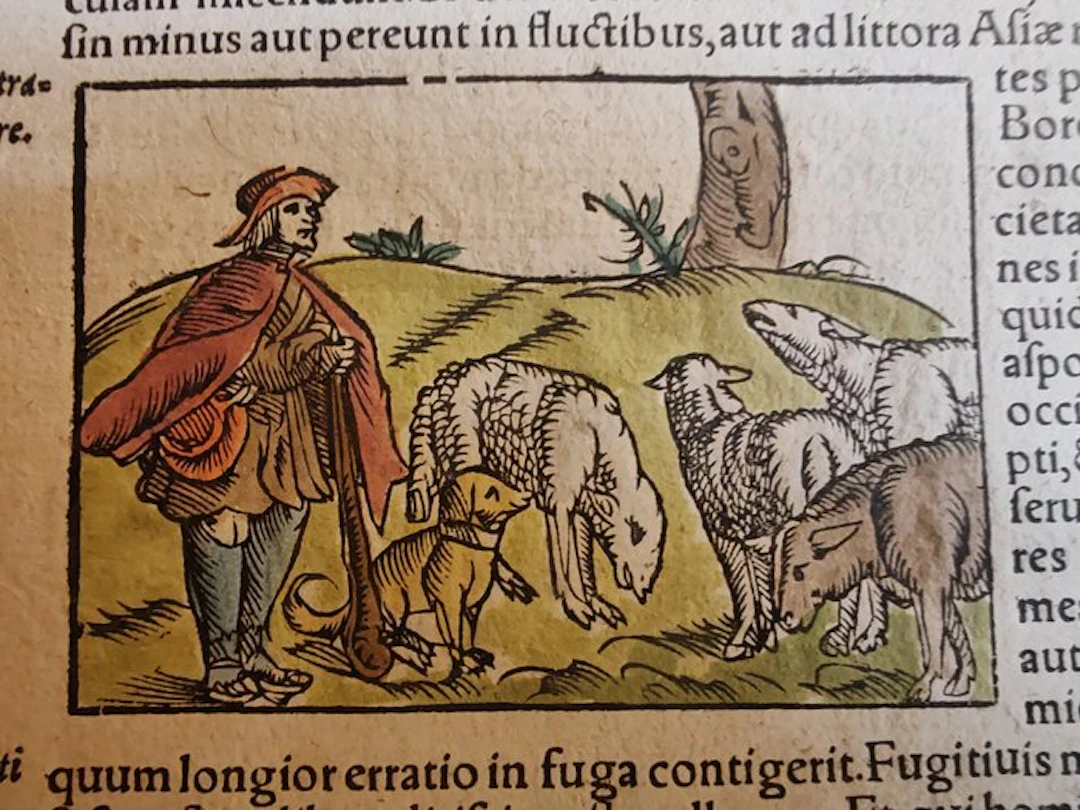 Sebastian Münster (1489–1552) - Cosmographia Universalis...