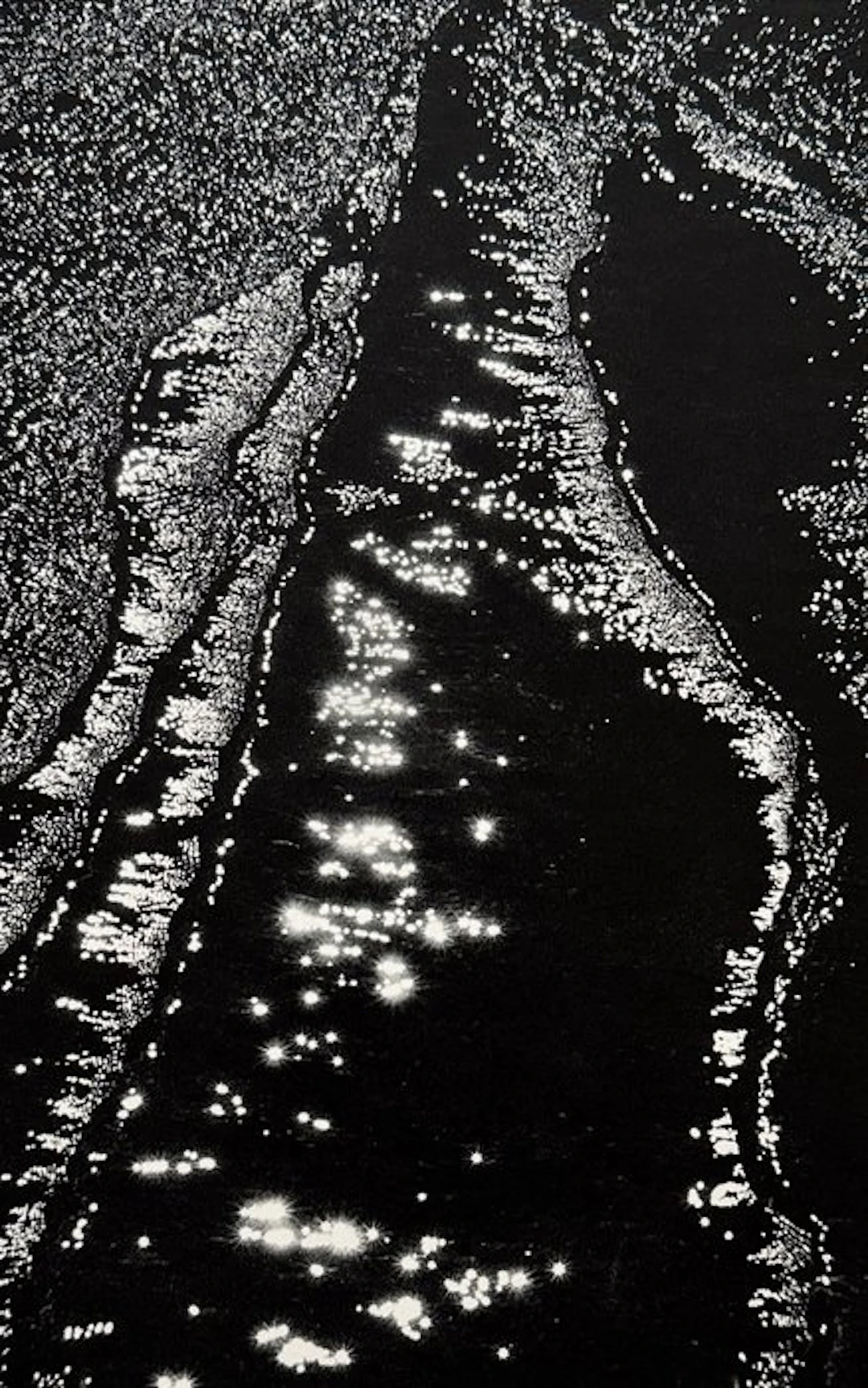 Lucien Clergue (1934–2014) - Née de la vague, 1968