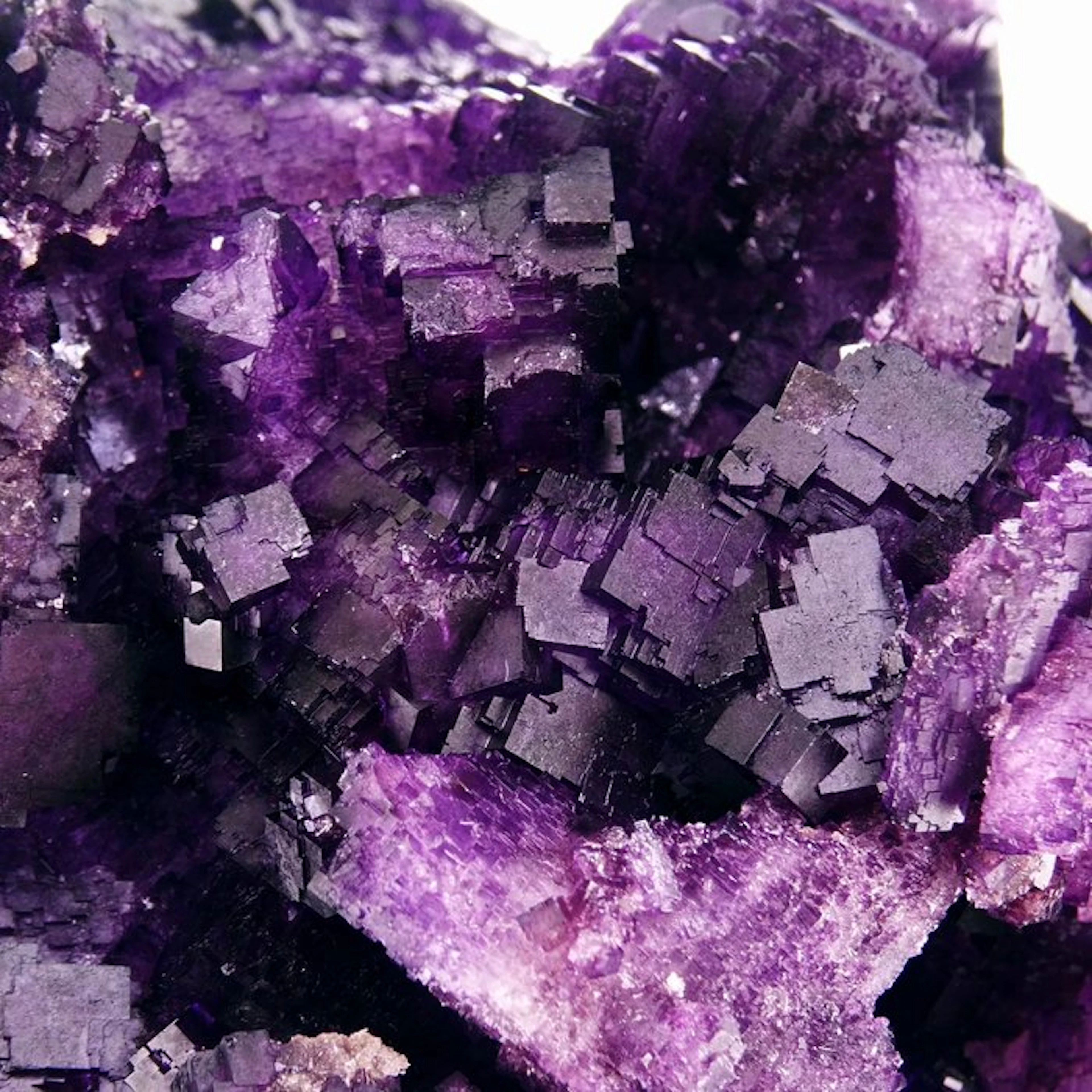 Fluorite (polysynthetic floater) - Tule mine