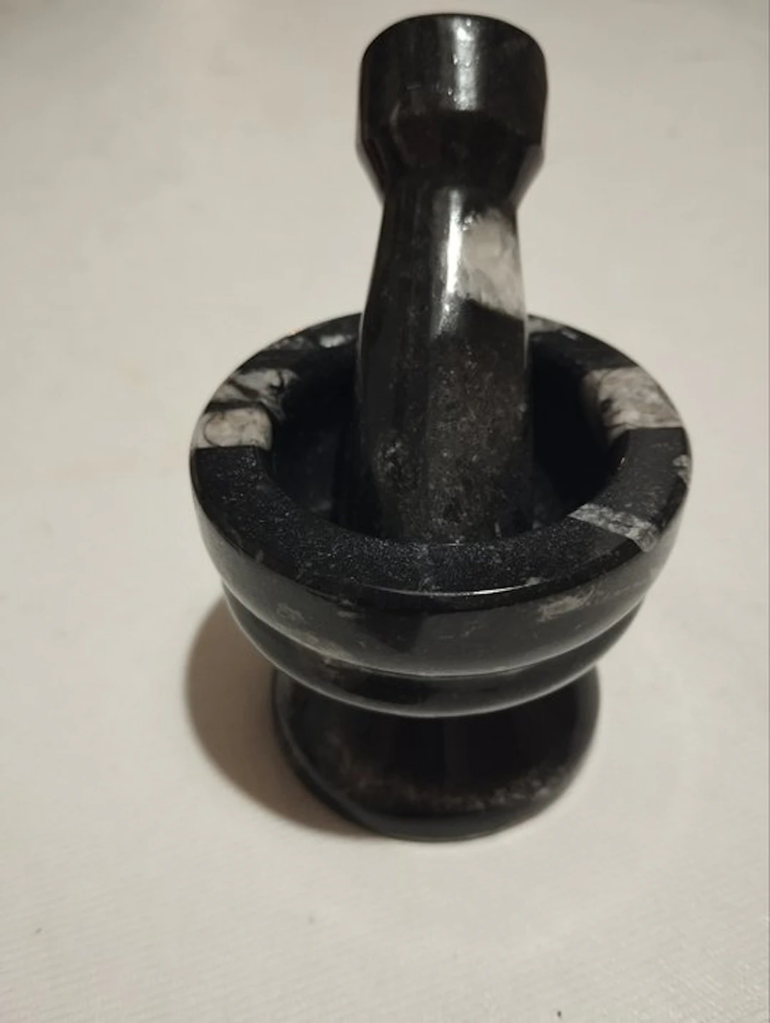 Fossilised animal - 6 cm - 6 cm