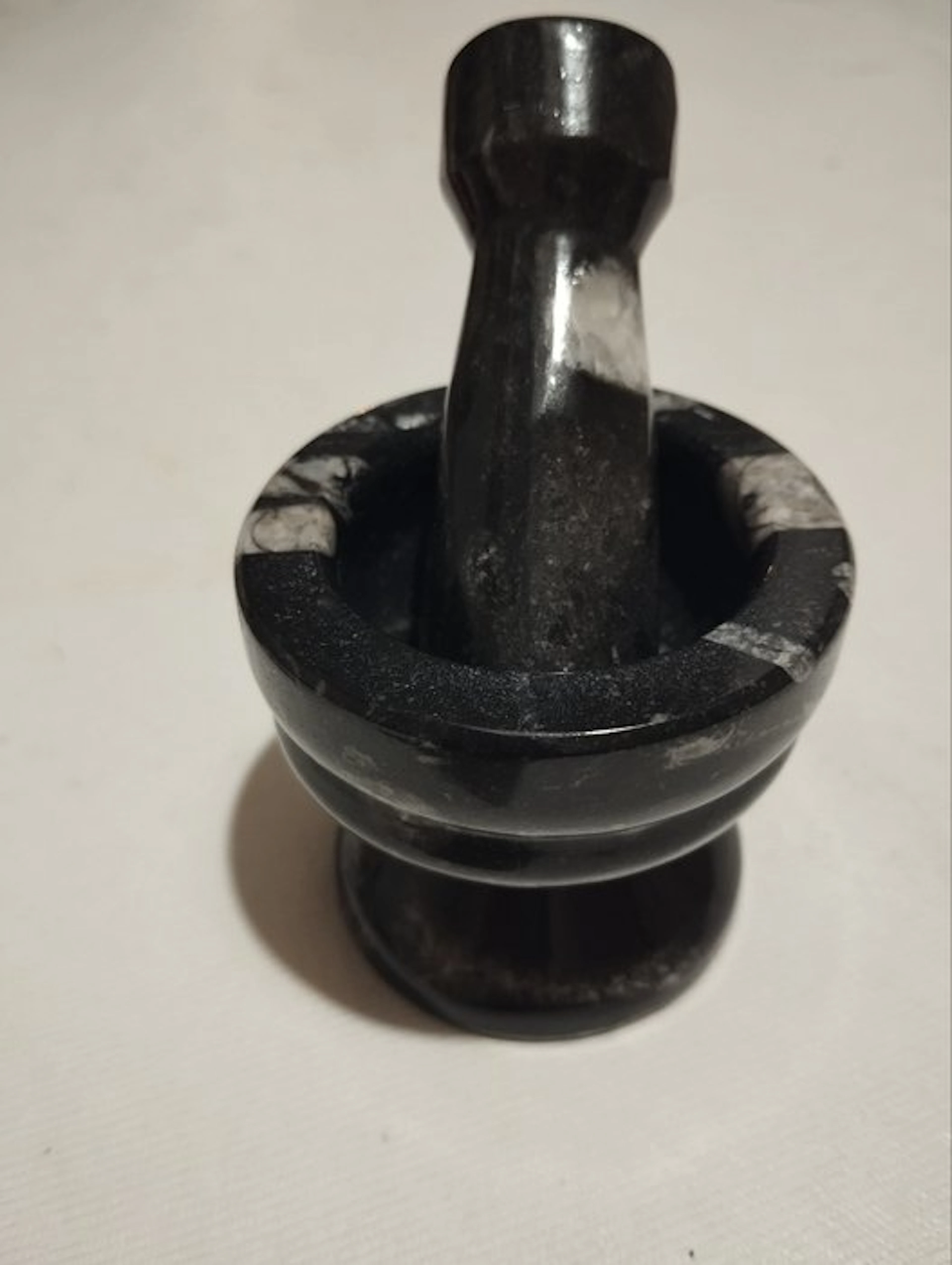 Fossilised animal - 6 cm - 6 cm
