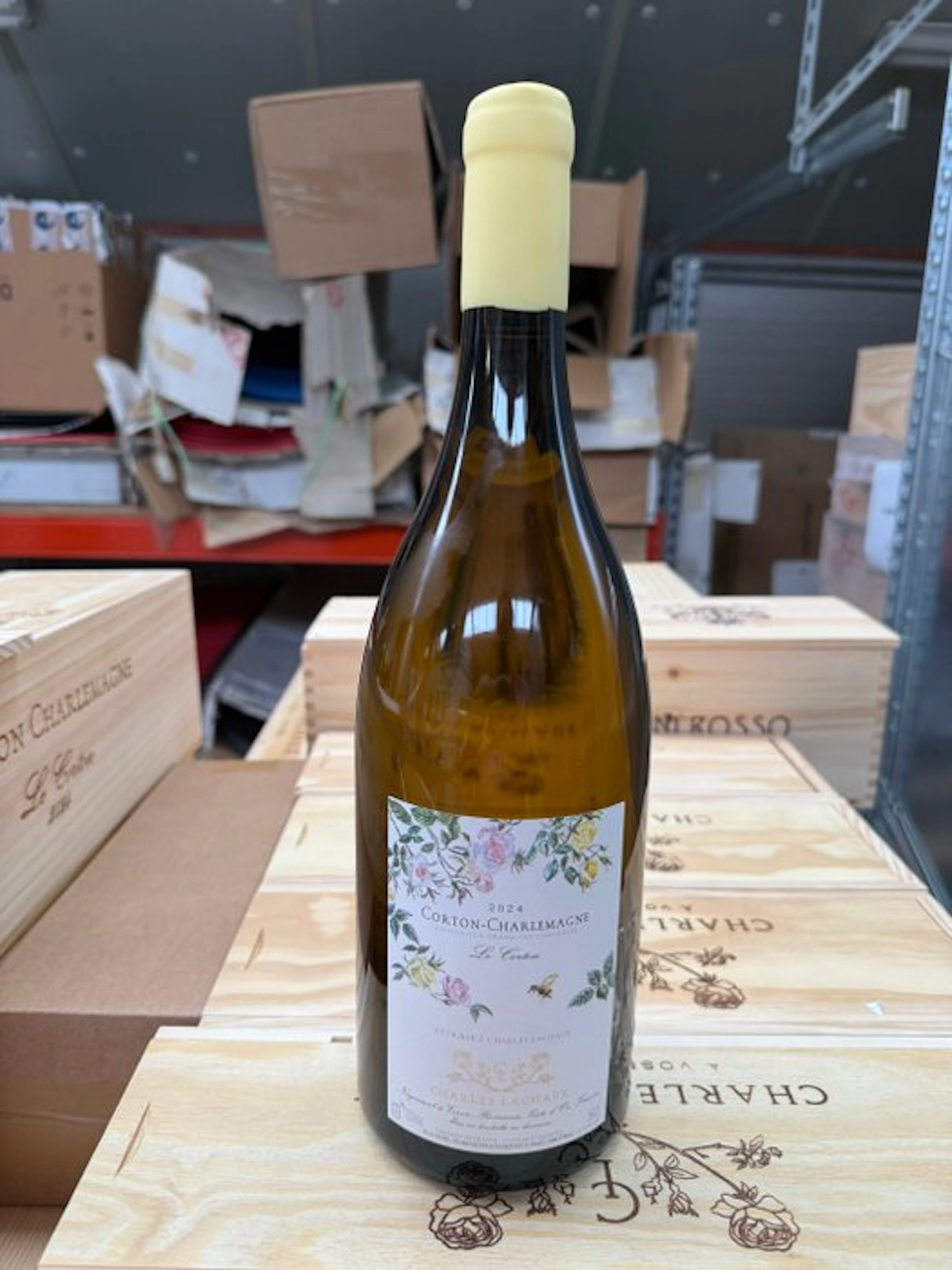 2024 Charles Lachaux - Corton Charlemagne Grand Cru - 1 Magnum (1.5L)