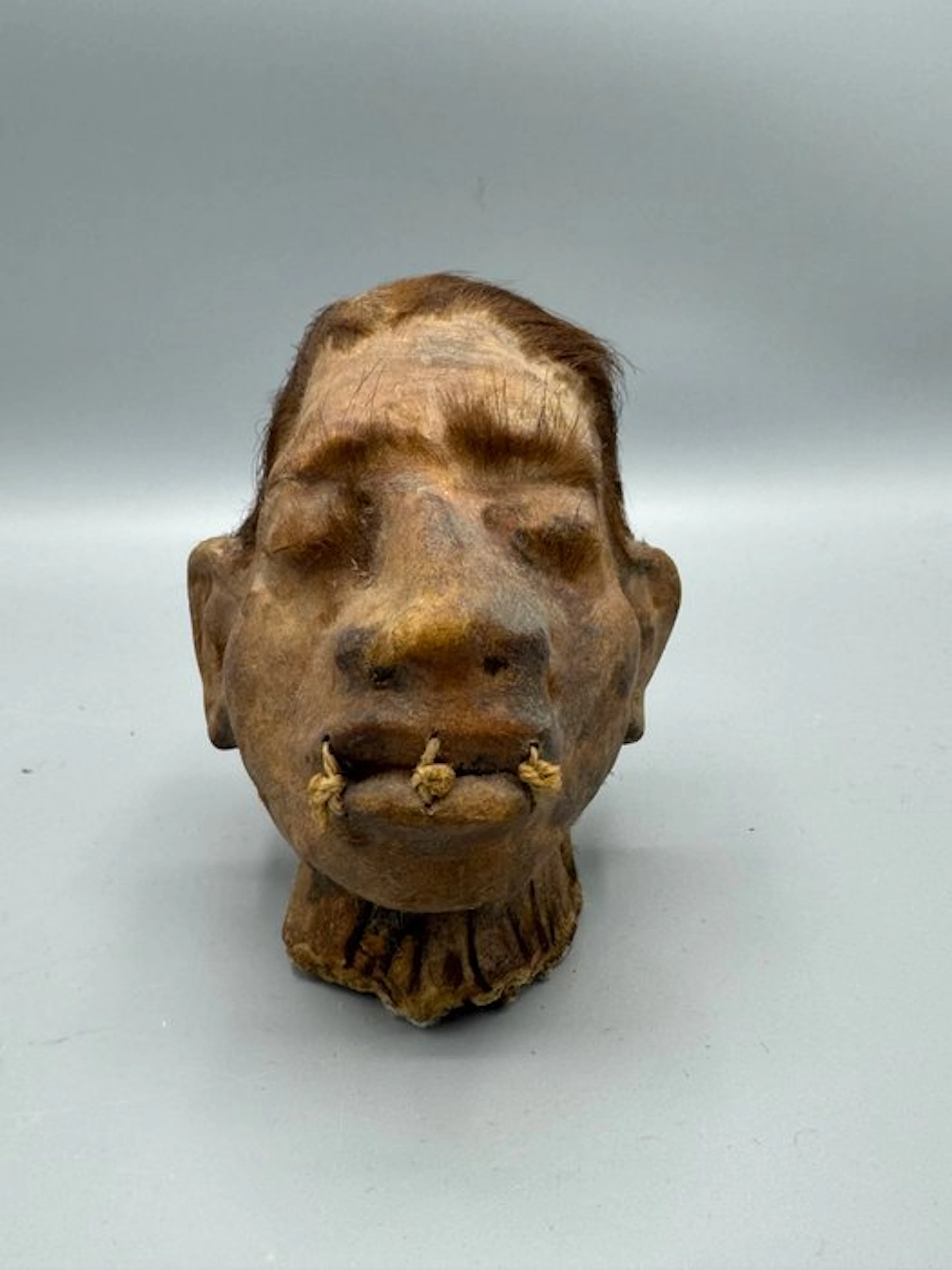 shrunken head Taxidermy replica mount - Human shrunken...