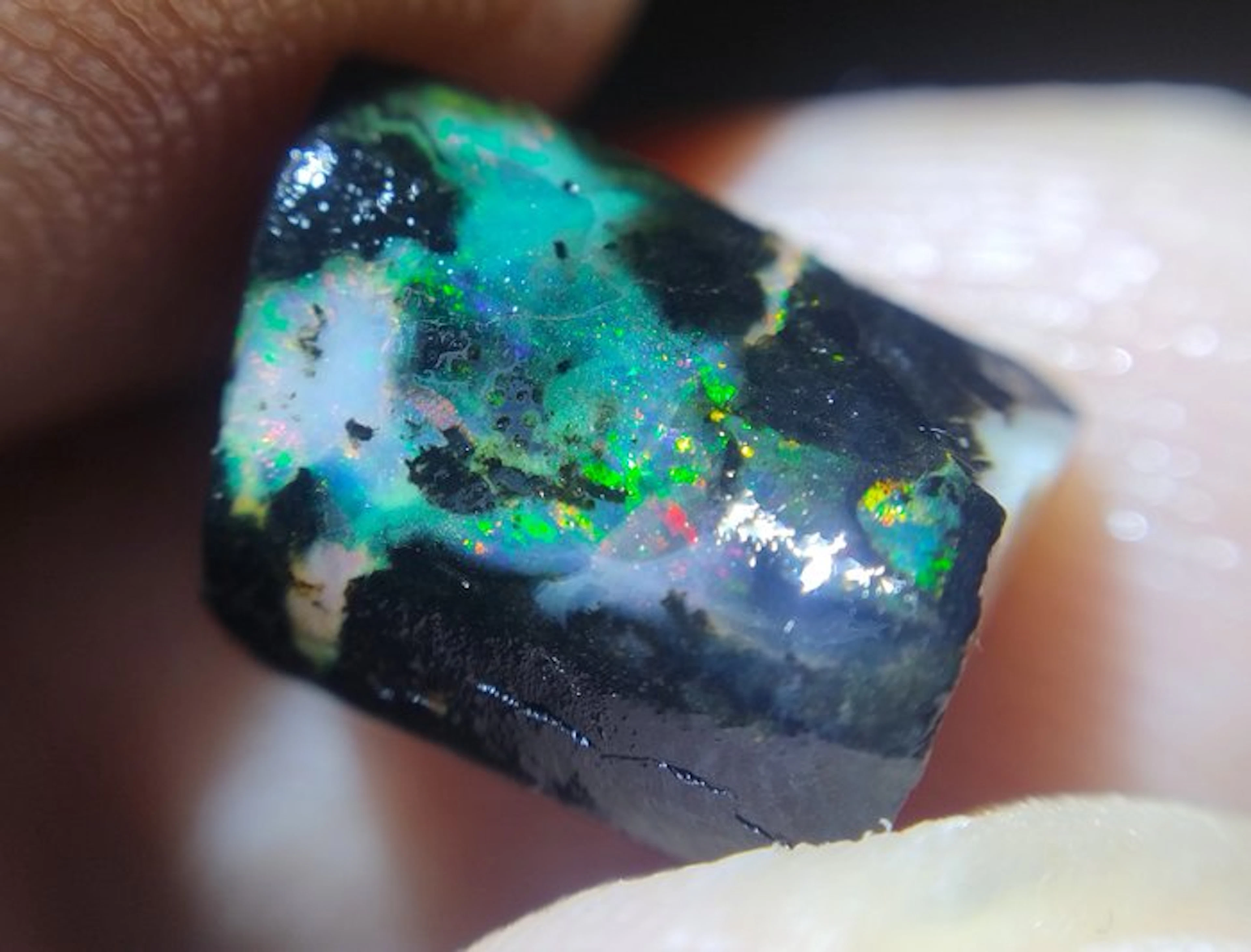4.9 ct - Top Colors - Natural Black Opal - Wood Fossil - Multicolor- 0.98 g