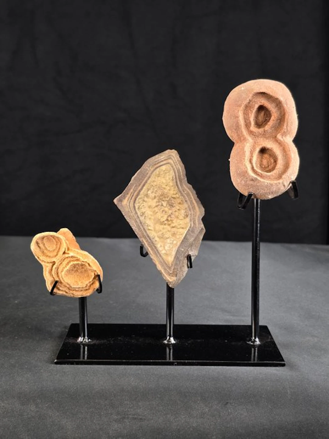 Fossilised animal - Lot of 3 stromatolites (No reserve price)