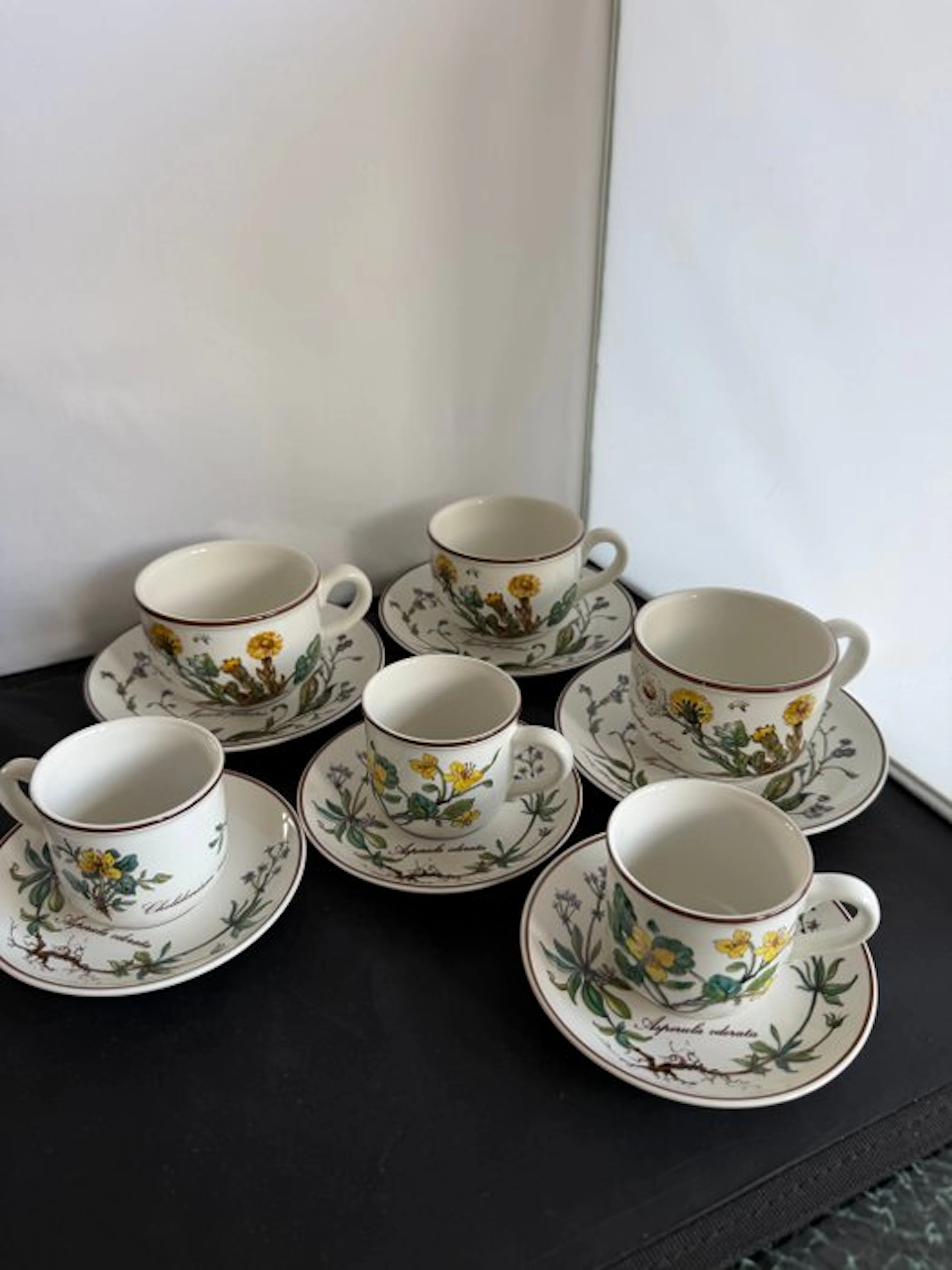 Villeroy & Boch - Cup and saucer (6) - Botanica...