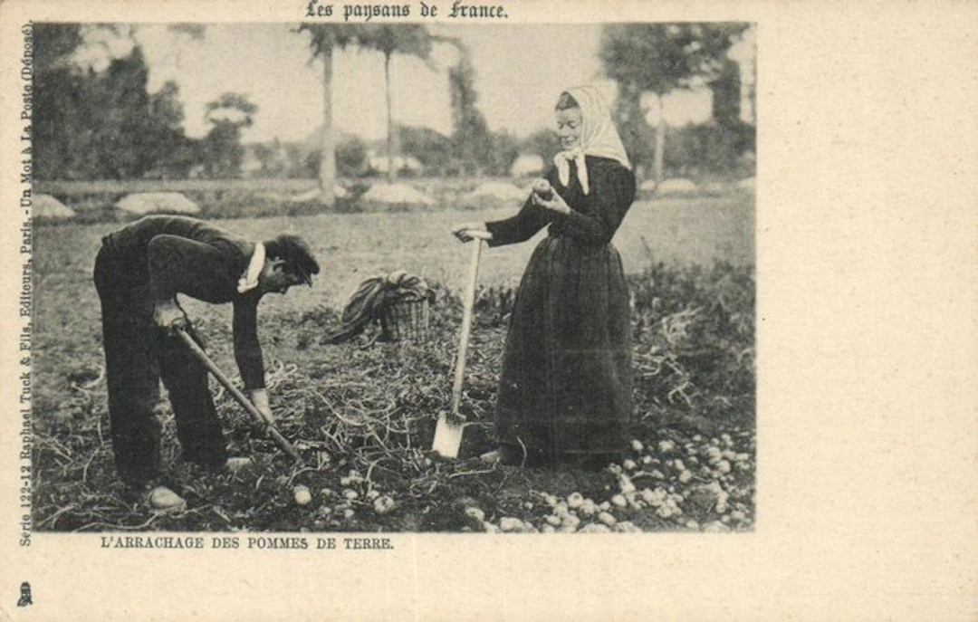 France - Farm Life & Rural Living - Including Harvesting