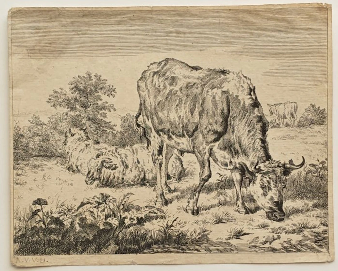 Adriaen van de Velde (1636–1672) - The Spotted Bull and Three Sheep