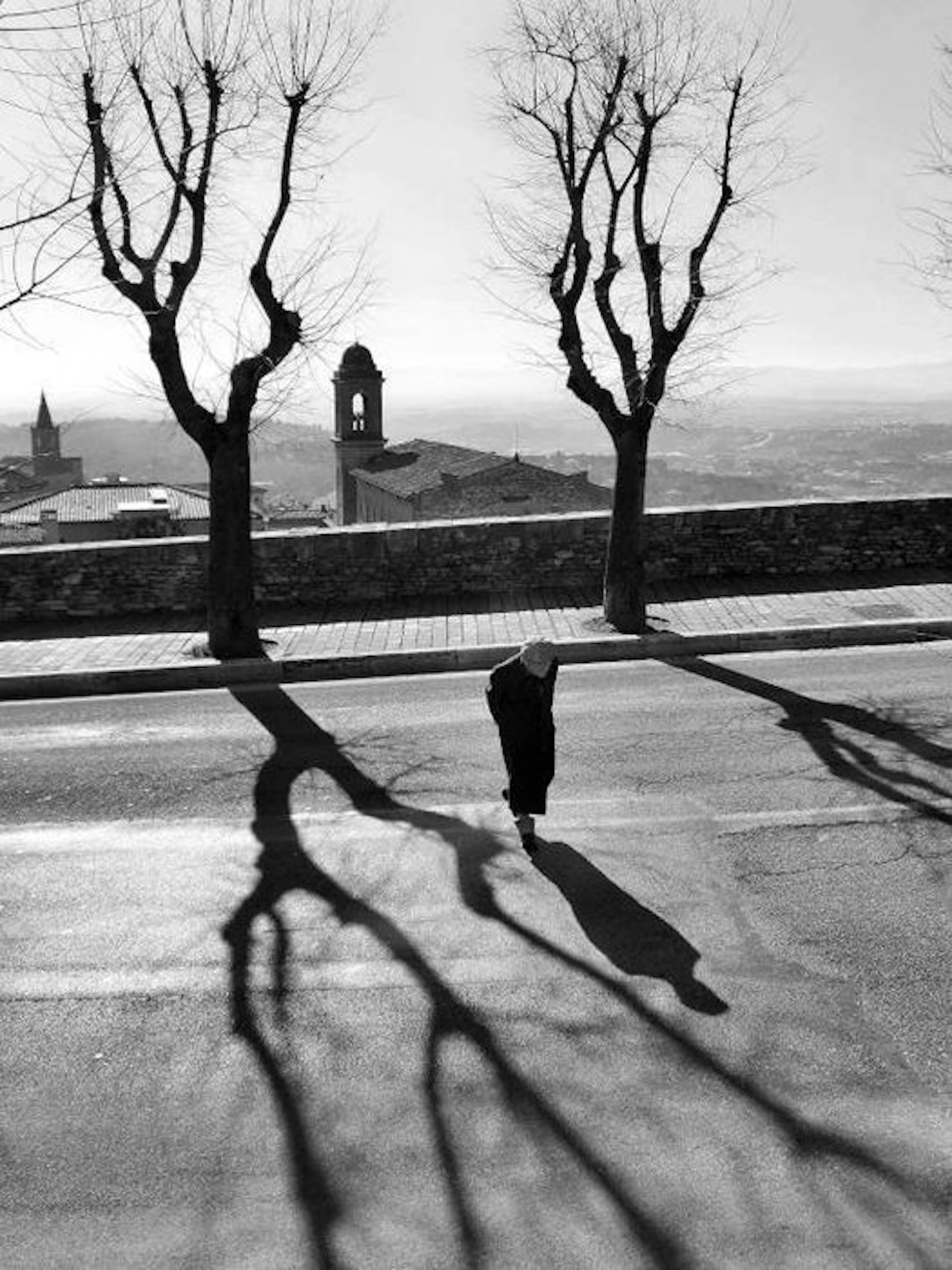 Claudio Montecucco - Abitudini