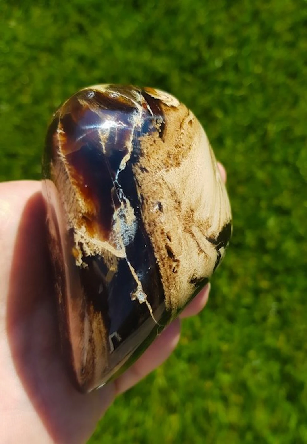 Amber - Amber - Blauwe amber - 9 cm - 7 cm (No reserve price)
