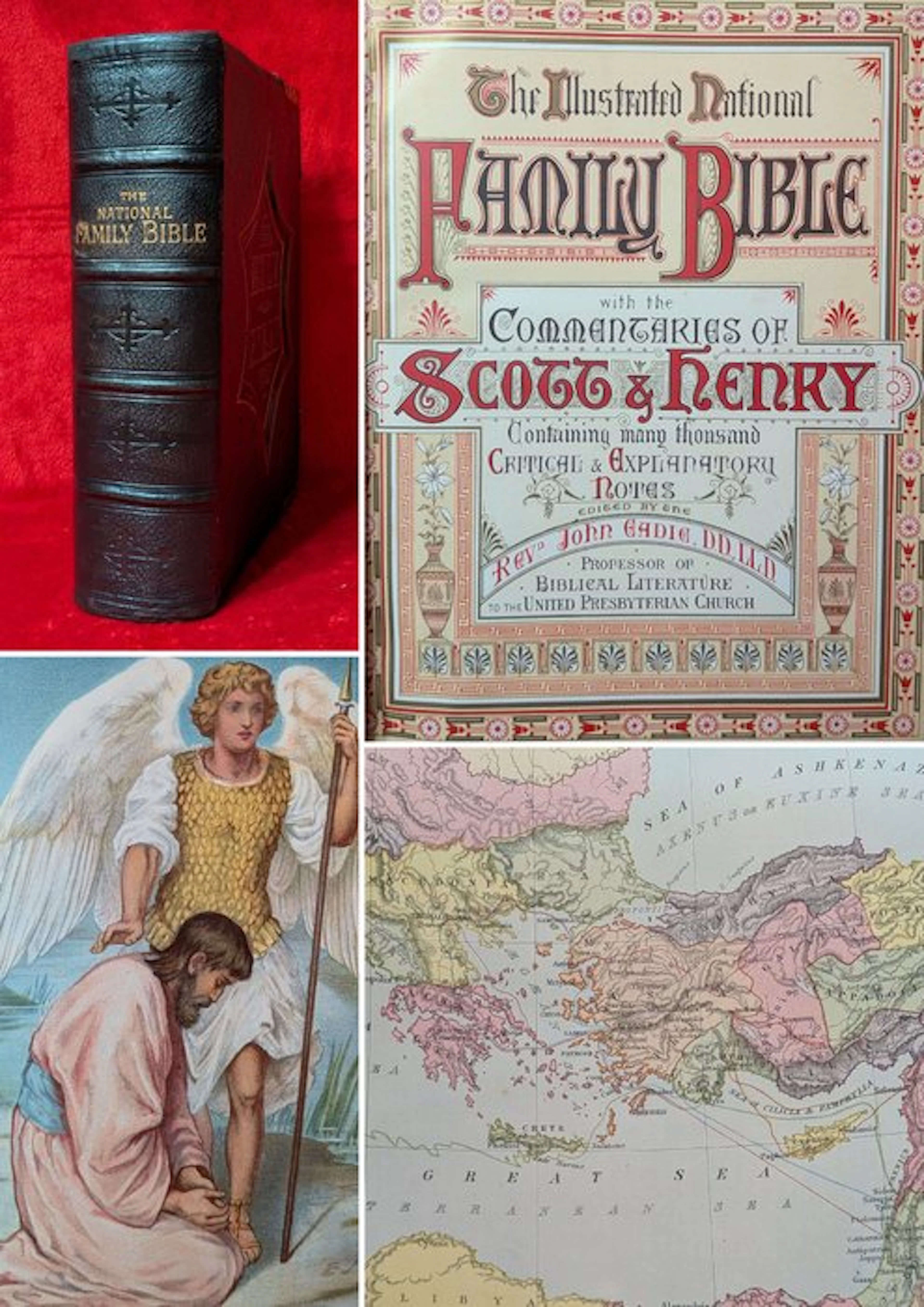 [SCOTT'S & HENRY'S BIBLE] Gustave Doré - The National Family Bible - 1871