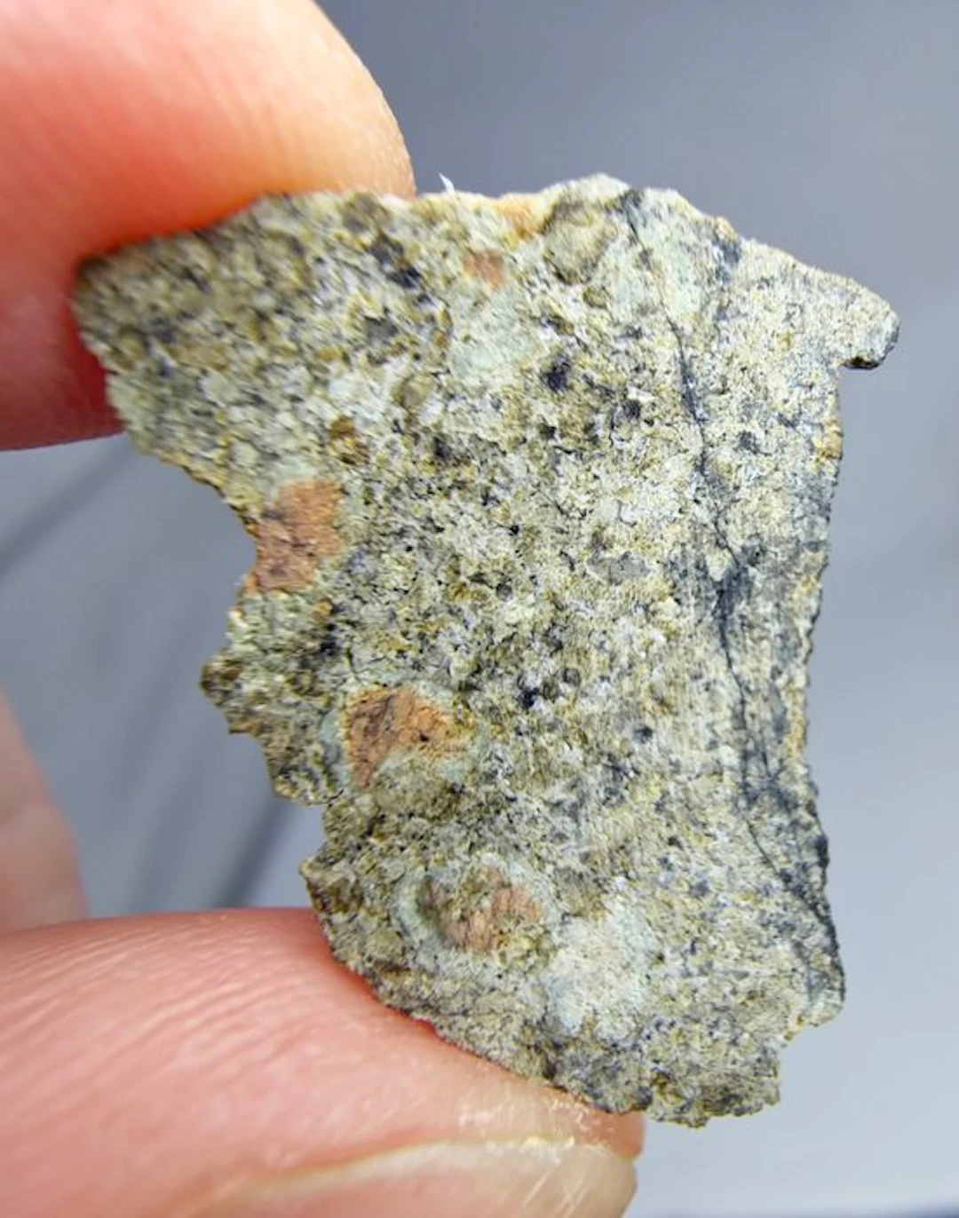 Martian Meteorite (shergottite