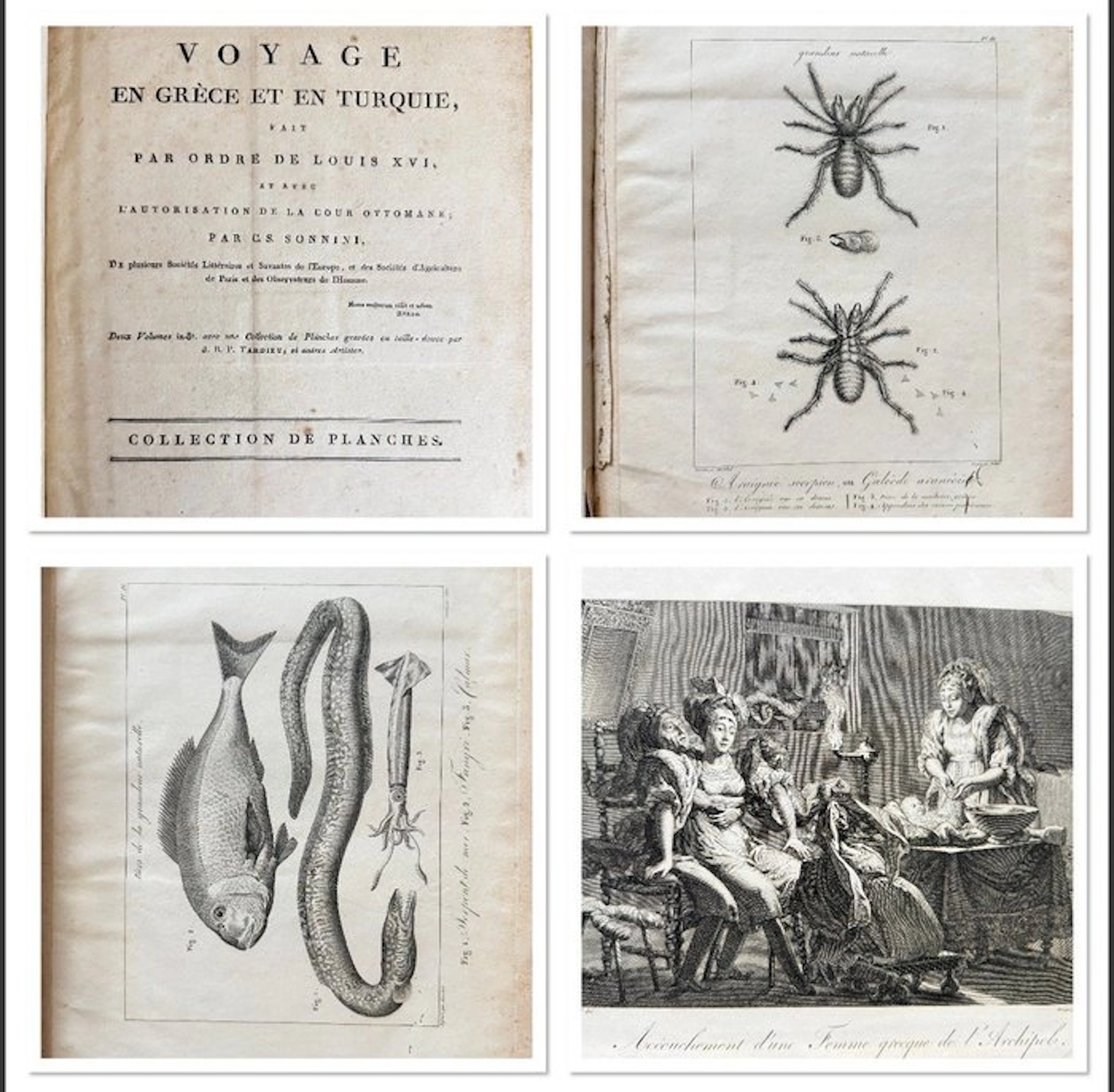 Sonnini - [Atlas] Voyage en Grèce et en Turquie