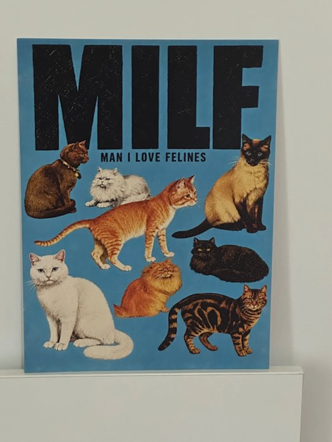 Anonimo - MILF Man I Love Felines - 2010s