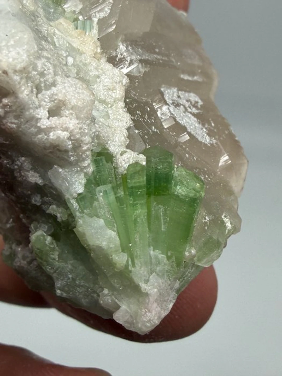 Tourmaline on Quartz Specimen- 56 g - (1)