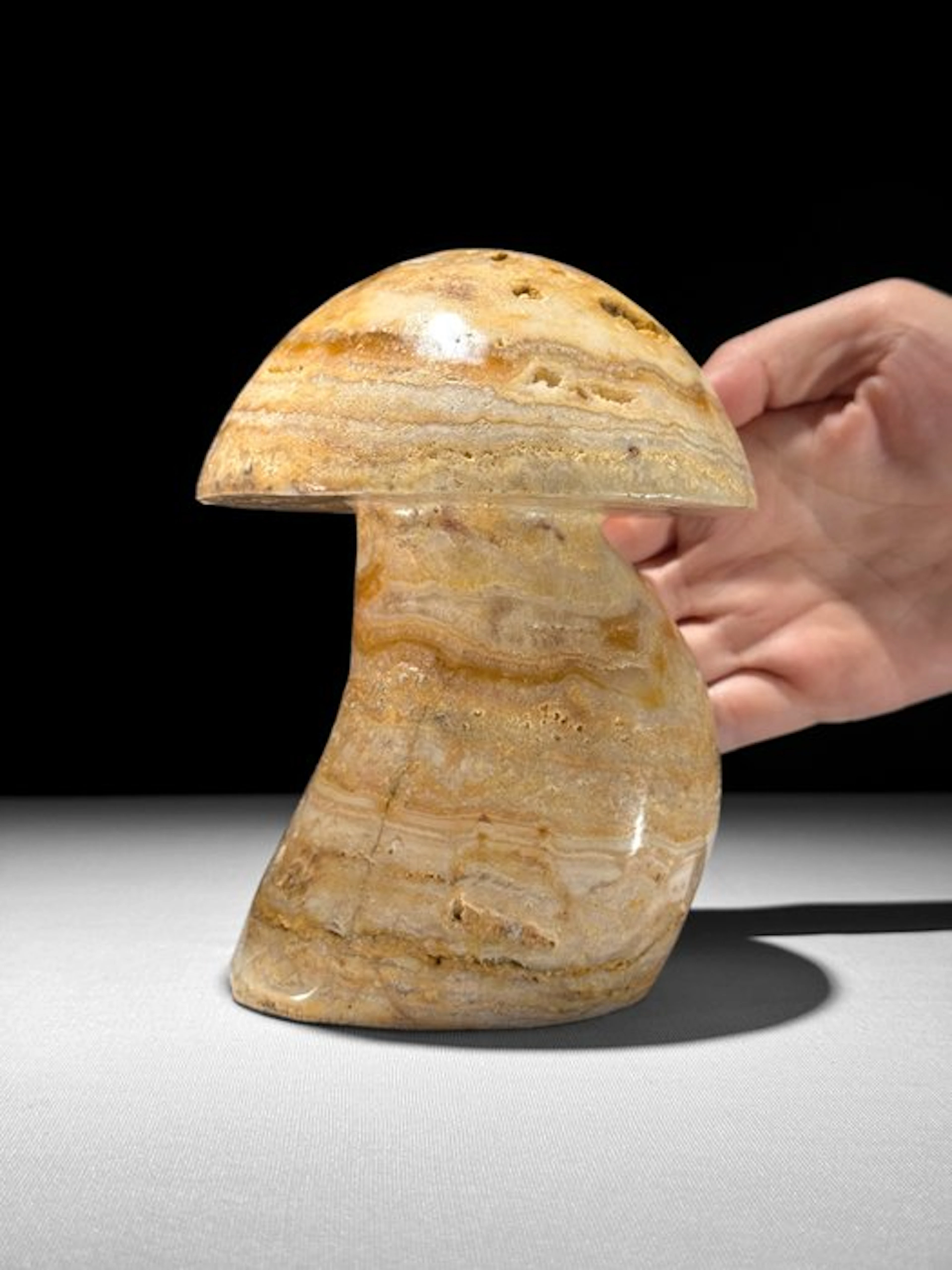 NO RESERVE PRICE - Hand-Carved Lace Agate Mushroom...