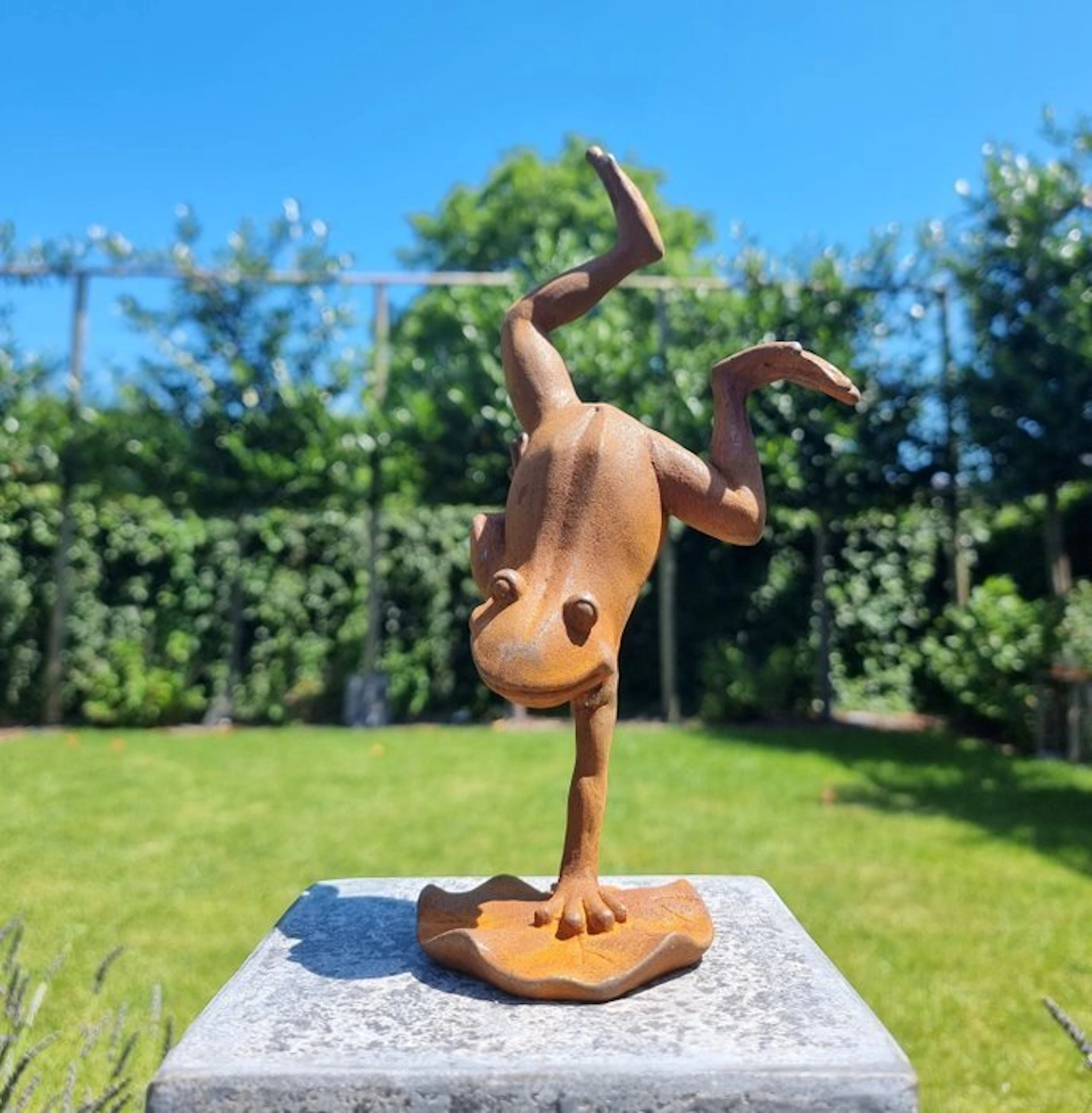 Figurine - Beeldje - A crazy frog - IJzer - Iron