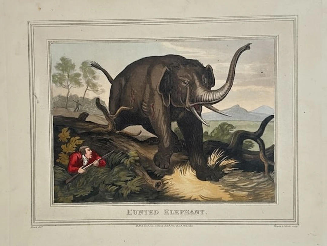 Samuel Howitt (c. 1756–1822) - Hunted Elephant