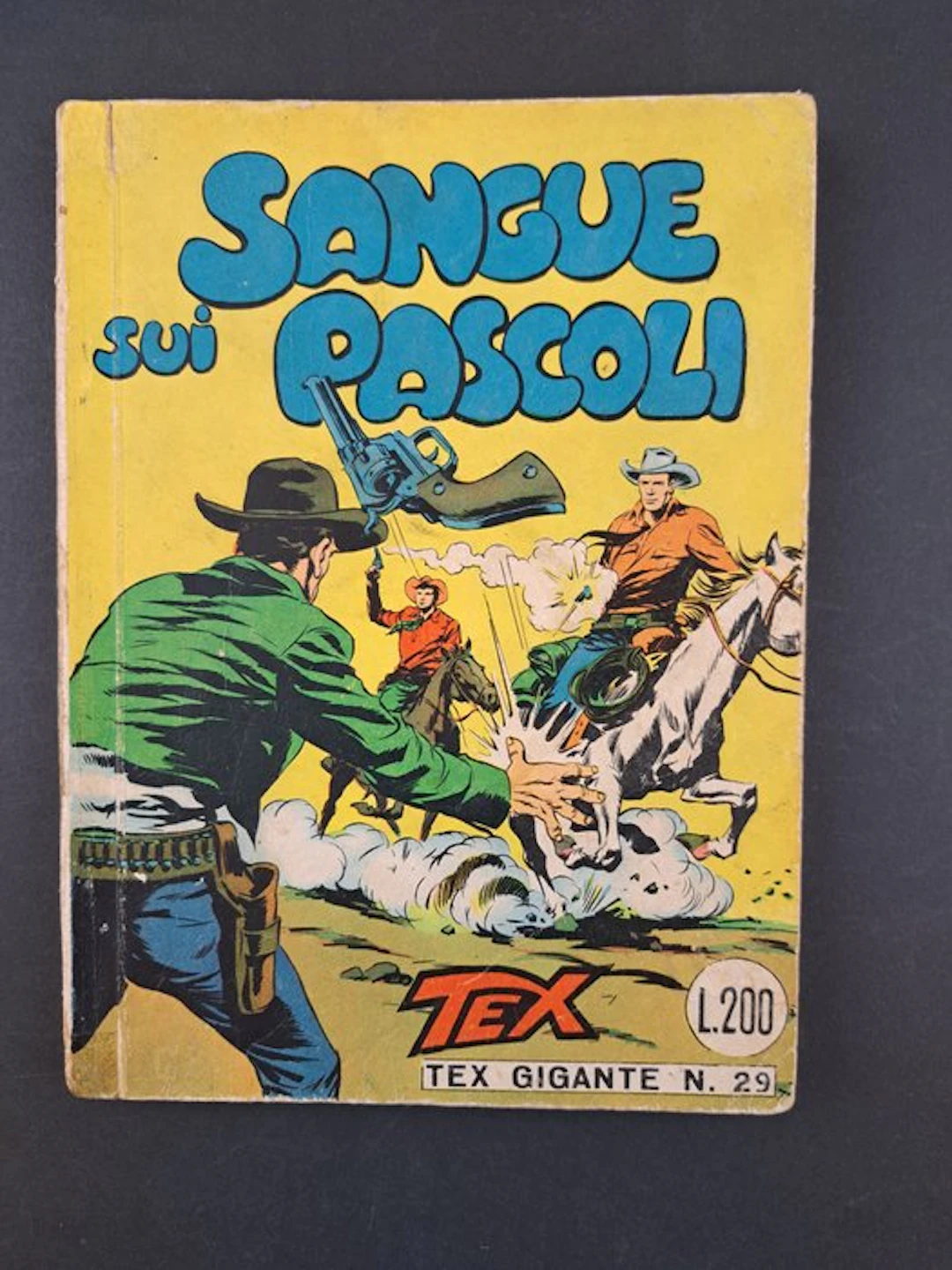 Tex 1/29 n. 29 - Sangue sui Pascoli - 1 Comic - First edition