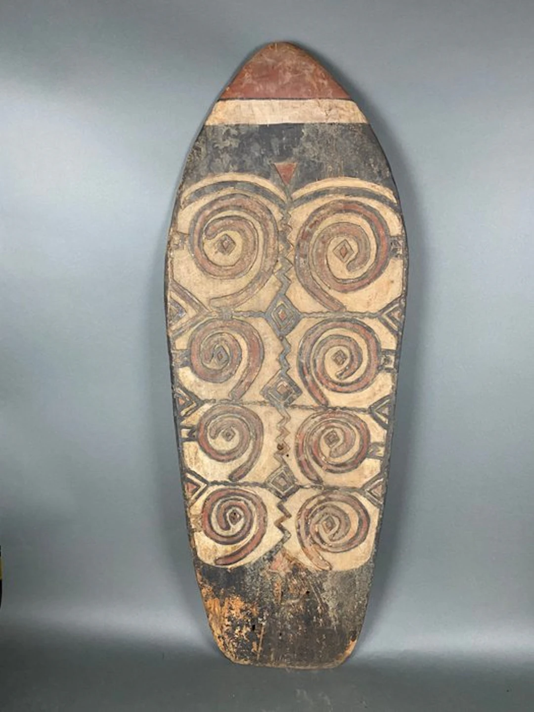 Magnificent Taga shield from Papua - Wood - Adachi Ginko...