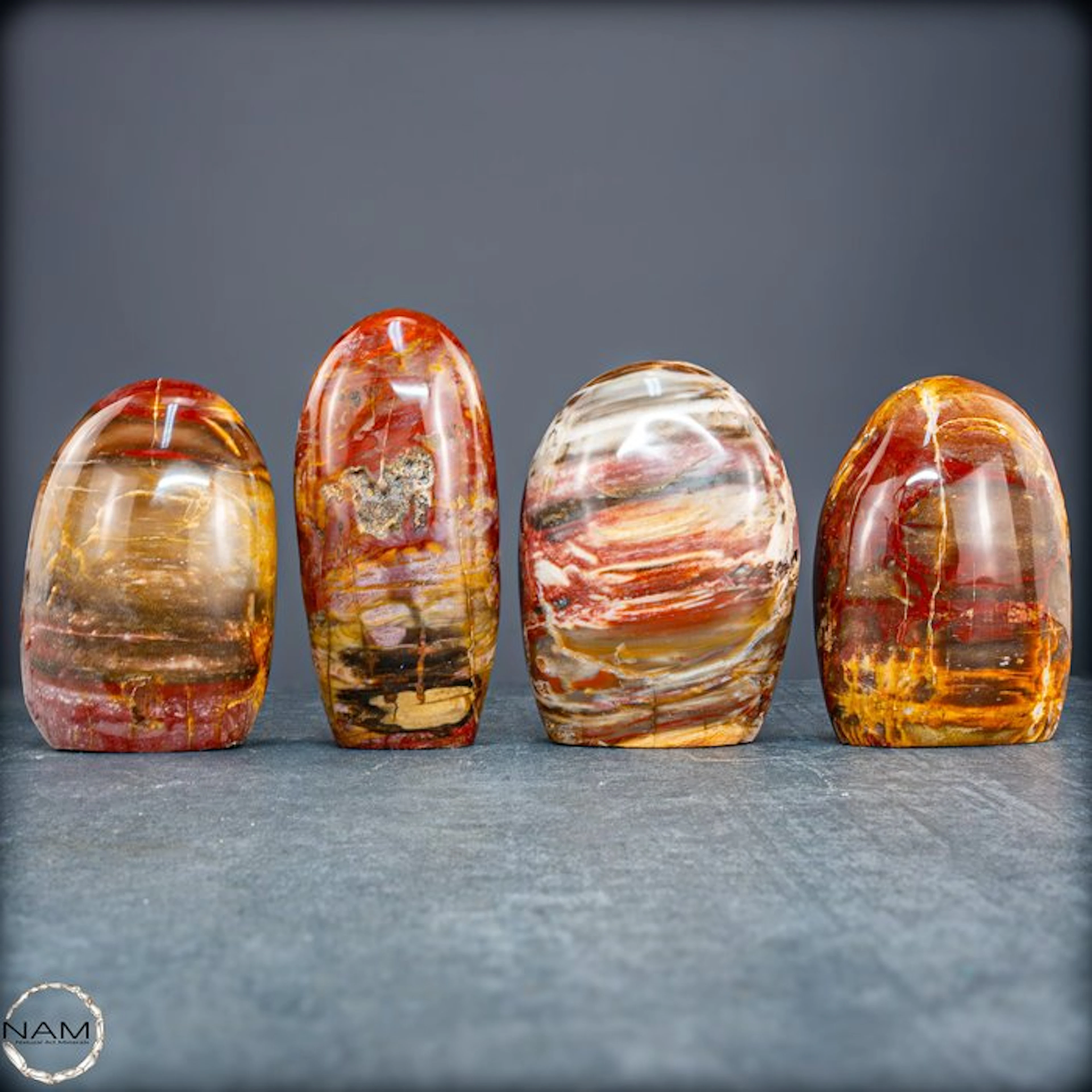 Natural petrified wood set from Madagascar – Millions of...