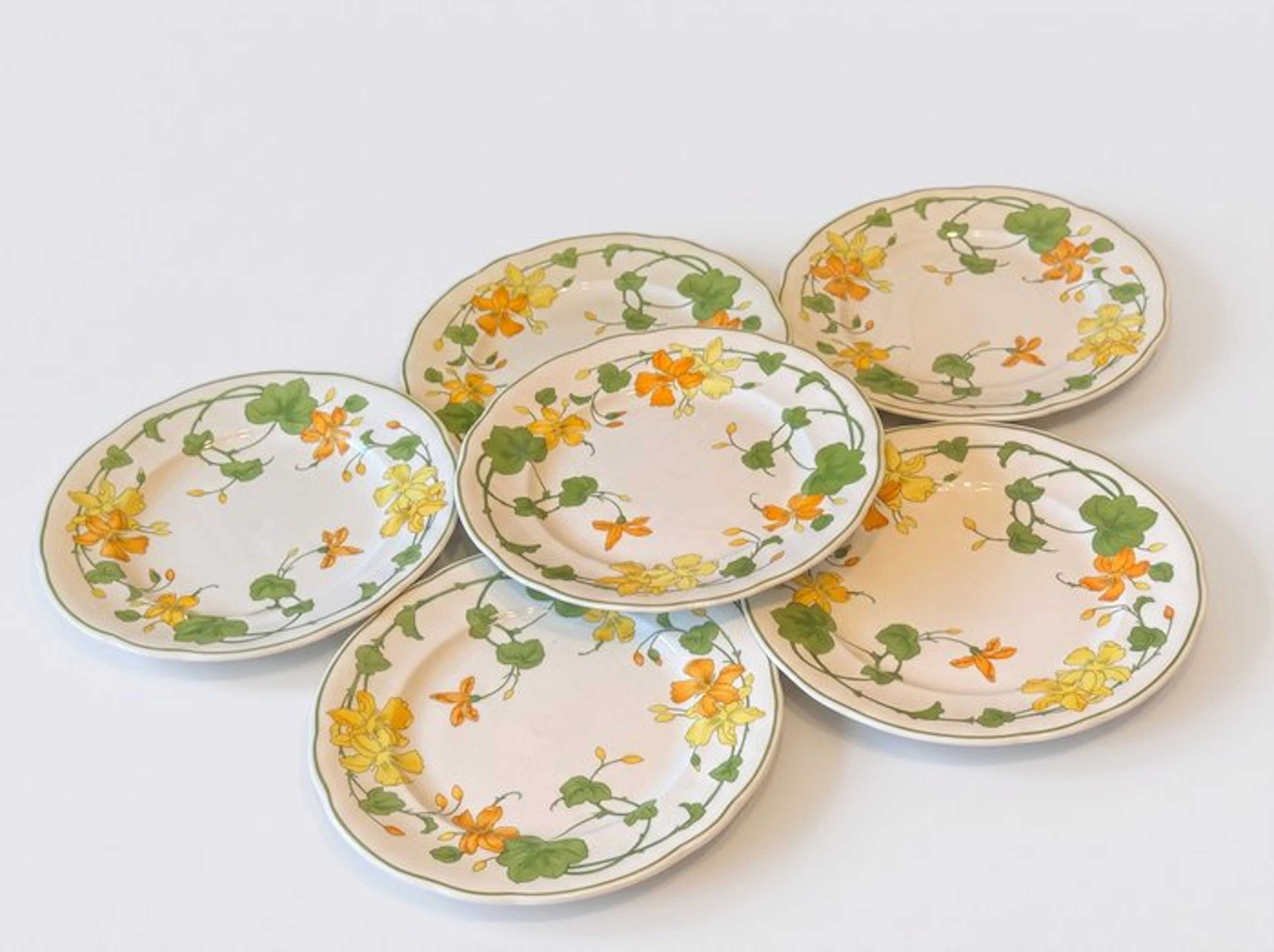 Villeroy & Boch - Dish (6) - Geranium - Porcelain - Geranium plates 27 cm