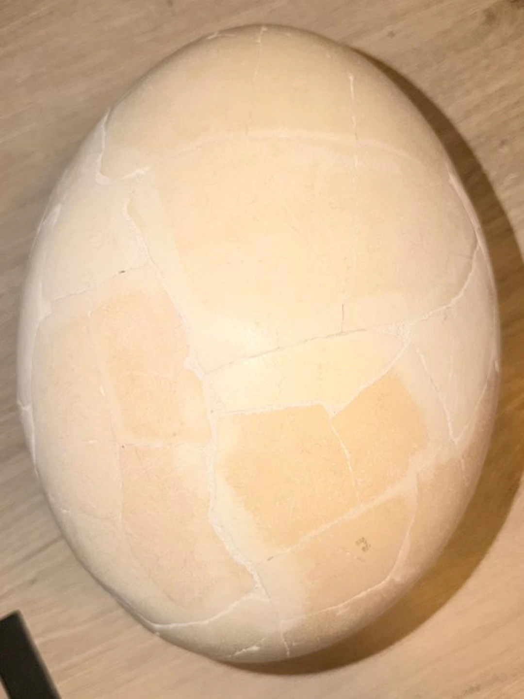 Elephant Bird Egg - Aepyornis - 24 cm - 24 cm - 31 cm - (1)
