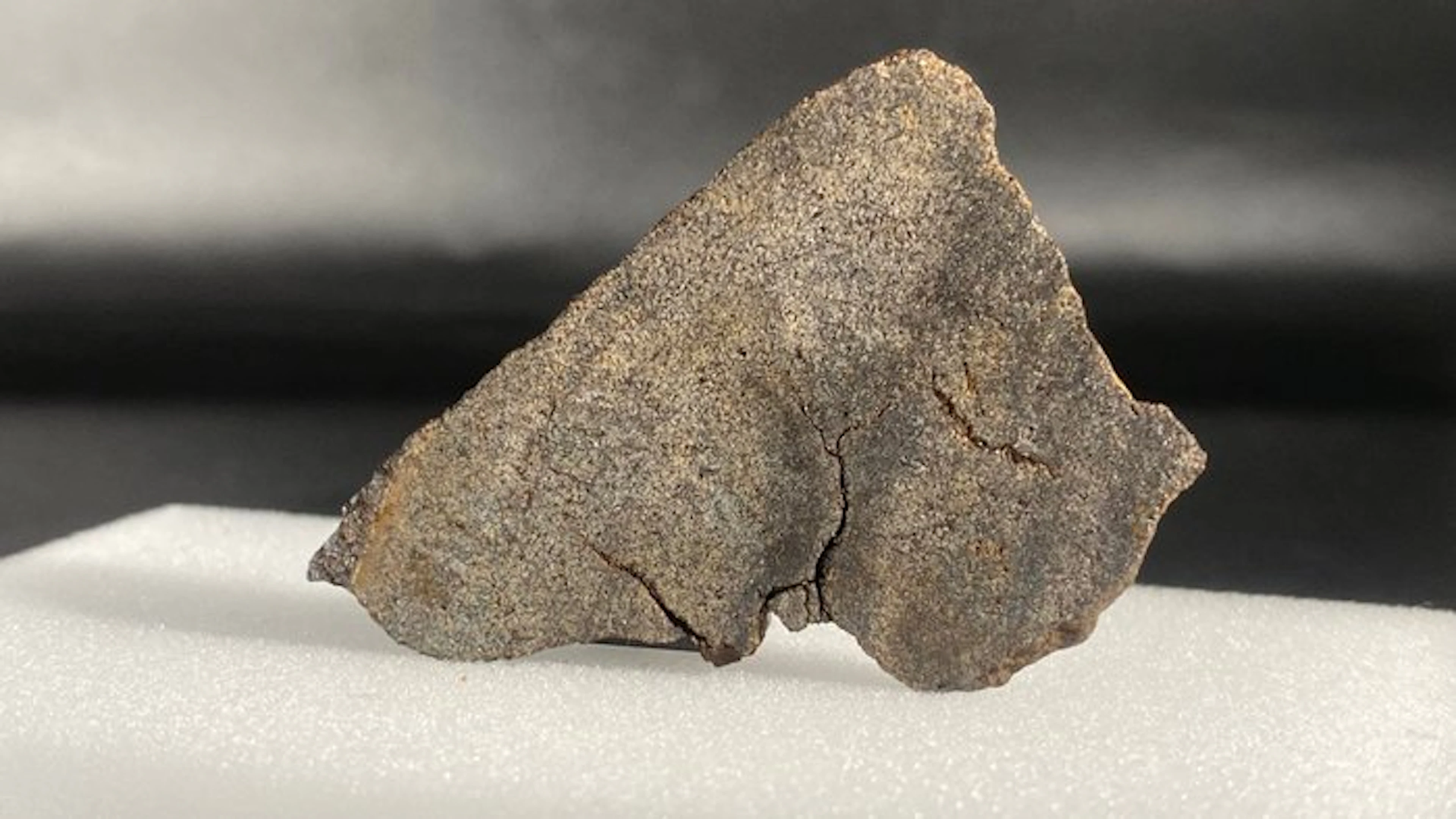 Primitive achondrite (Winonaite) Northwest Africa (NWA...