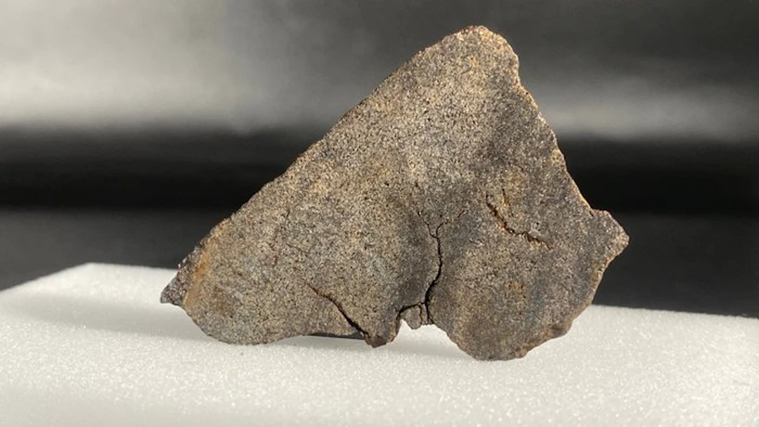 Primitive achondrite (Winonaite) Northwest Africa (NWA...