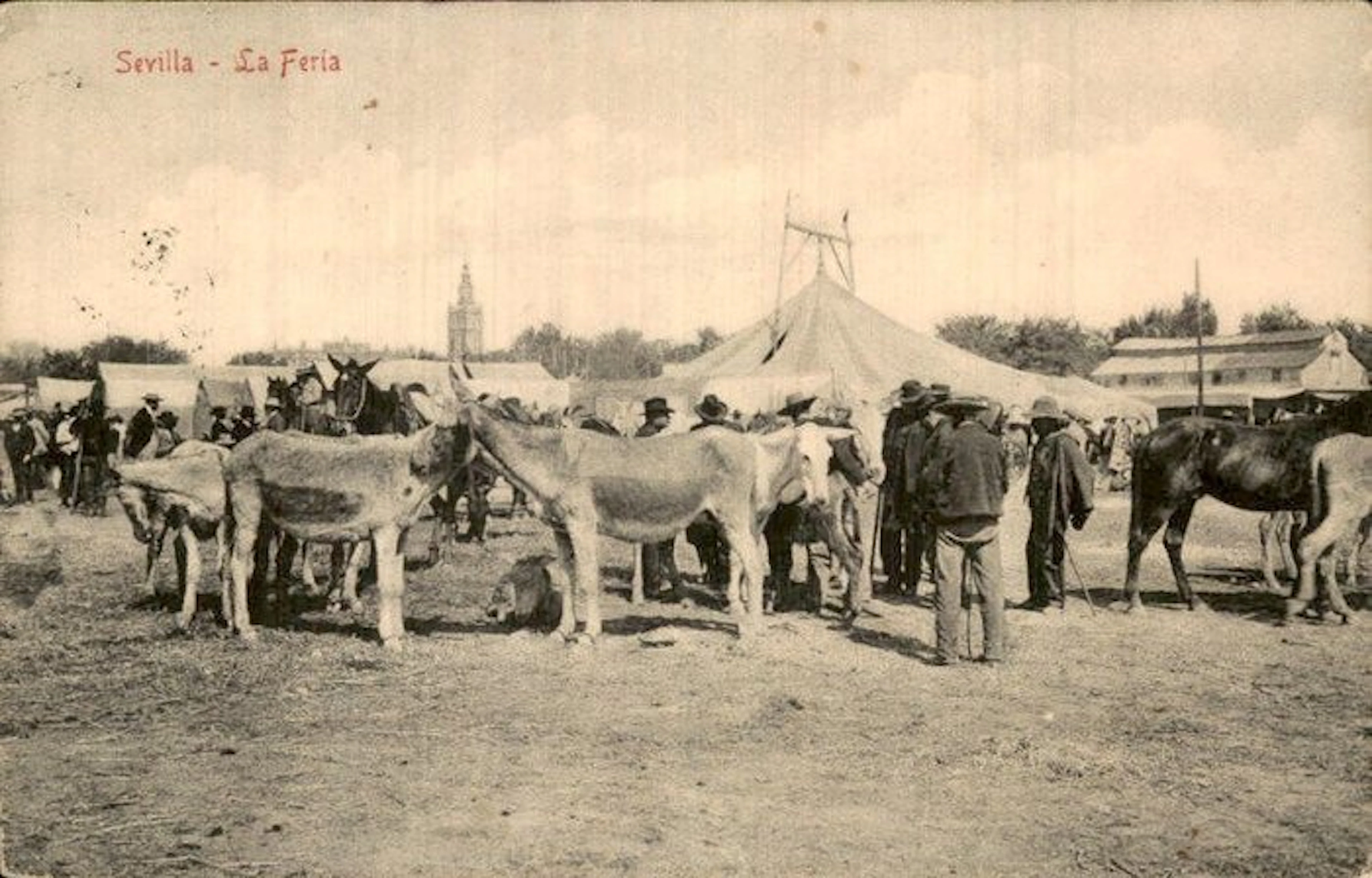 Spain - Postcard (156) - 1900-1999