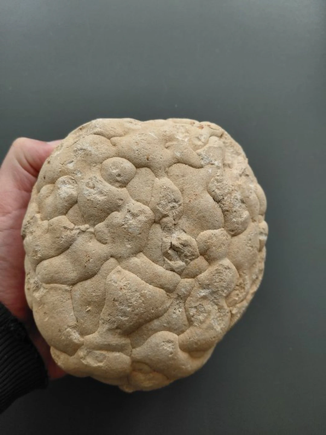 Cerebroid Silex, Middle Jurassic - Height: 20 cm - Width: 18 cm- 2333 g - (1)