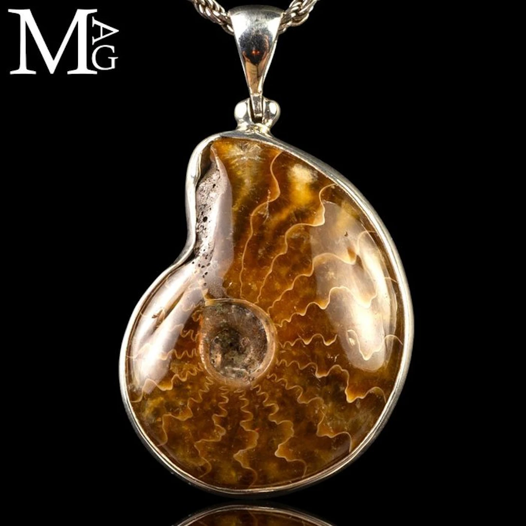 Fossil Cleoniceras Ammonite Jurassic Jewellery Collection...