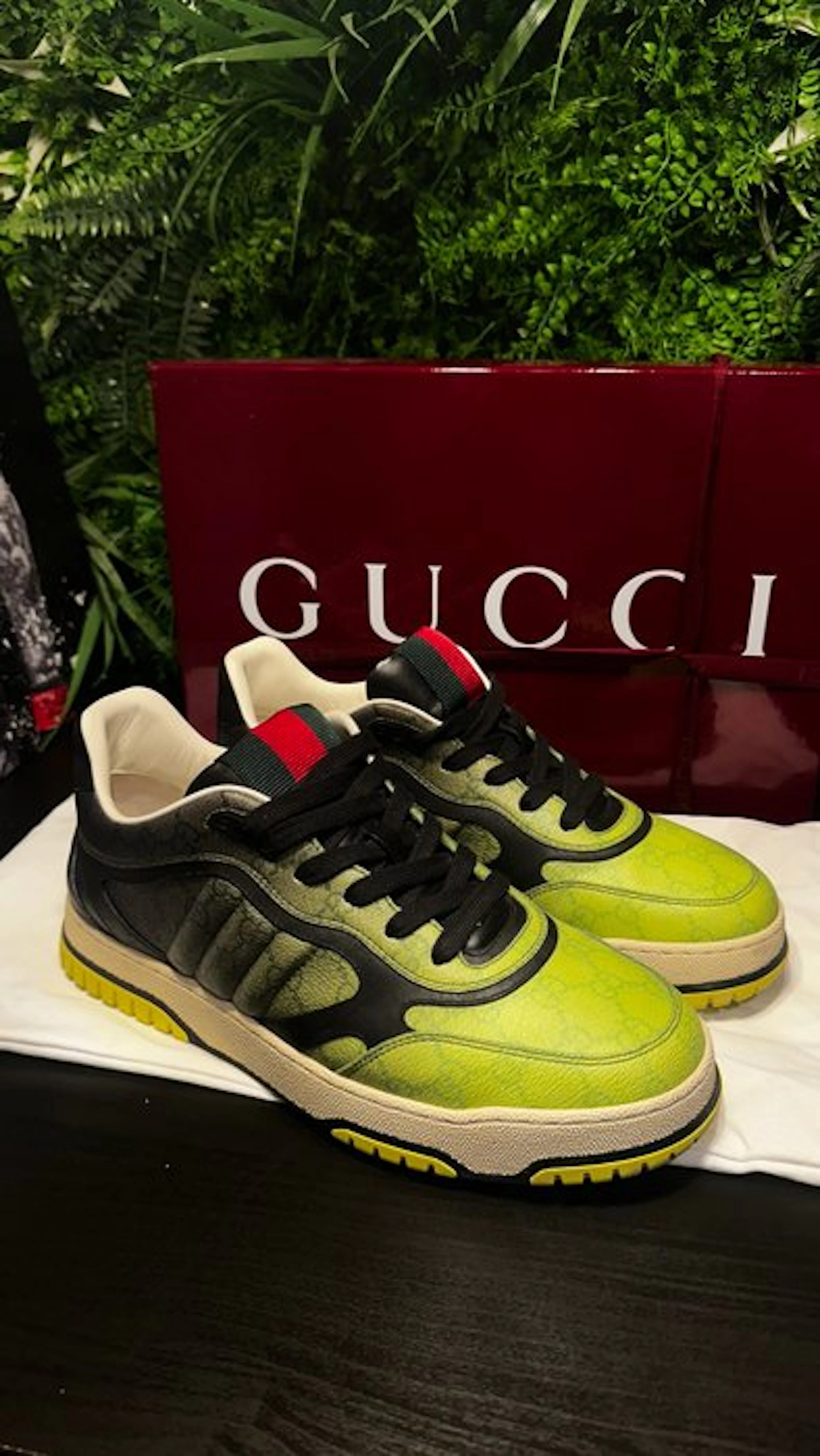 Gucci - gucci re-web - Sneakers - Size: EU 43