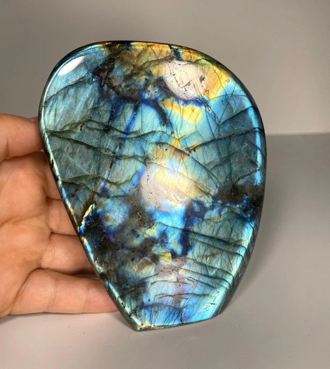 Impressive blue-yellow Labradorite Freeform - Height...