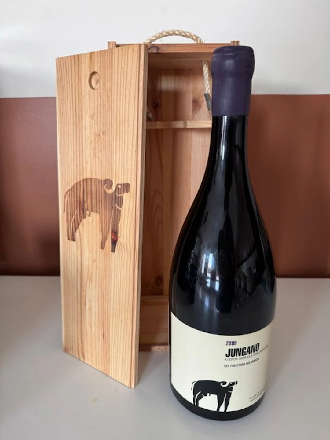 2009 San Salvatore 'Jungano' - Campania IGT - 1 Magnum (1.5L)