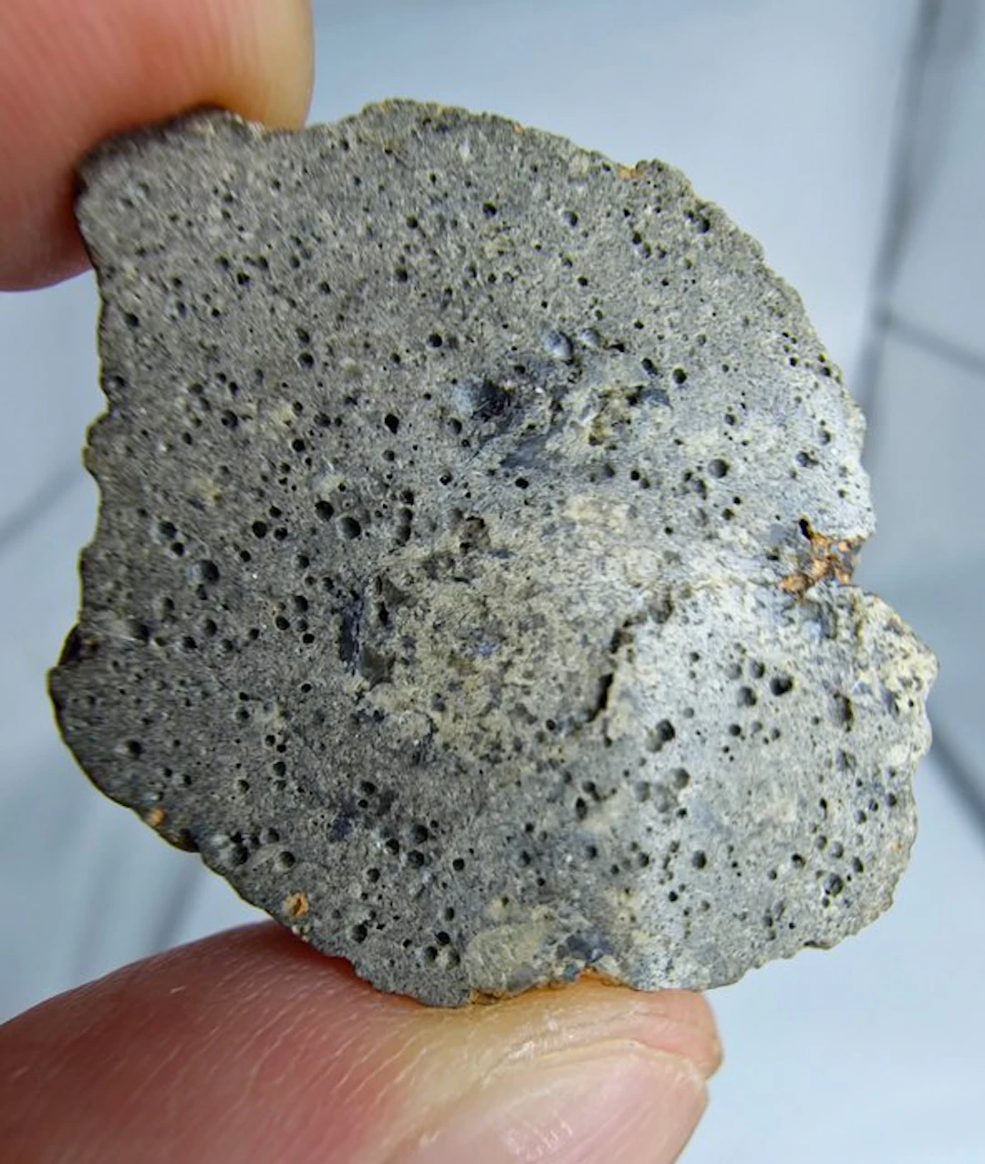 Bubbly Jikharra 001, Achondrite HED Eucrite. Super vesicular. - 13.58 g - (1)