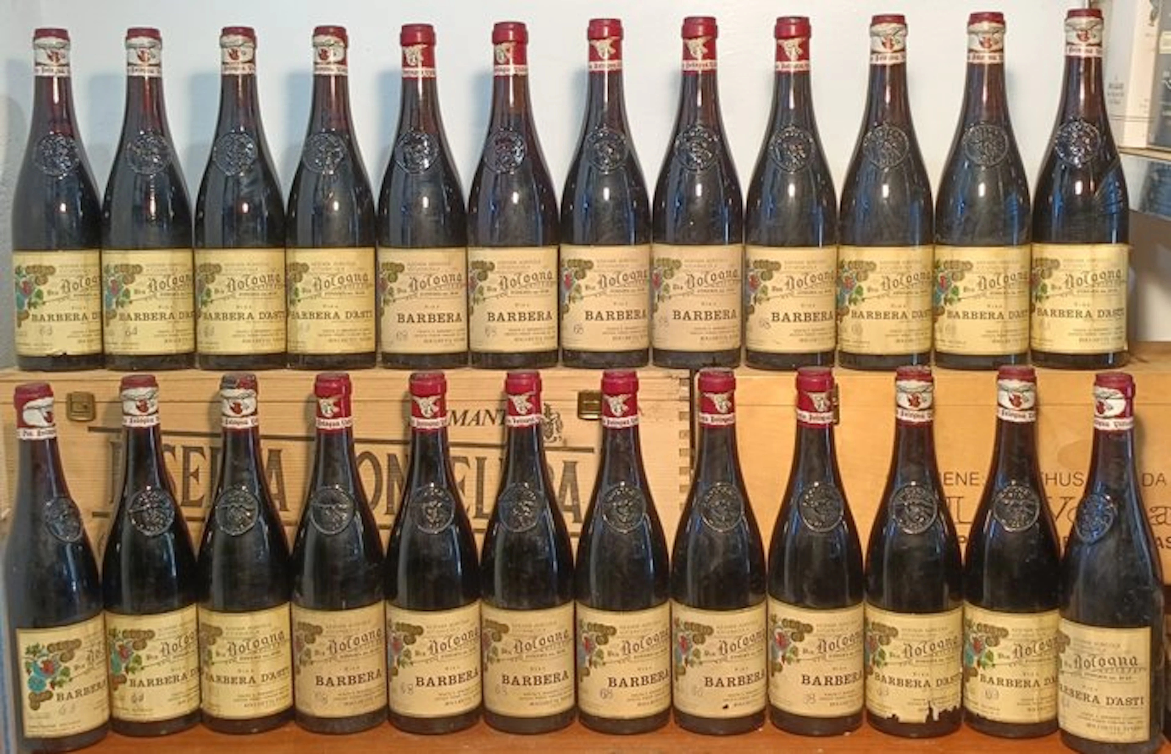 1969 Pin Bologna Vino Barbera d'Asti - Piedmont - 24 Bottles (0.75L)