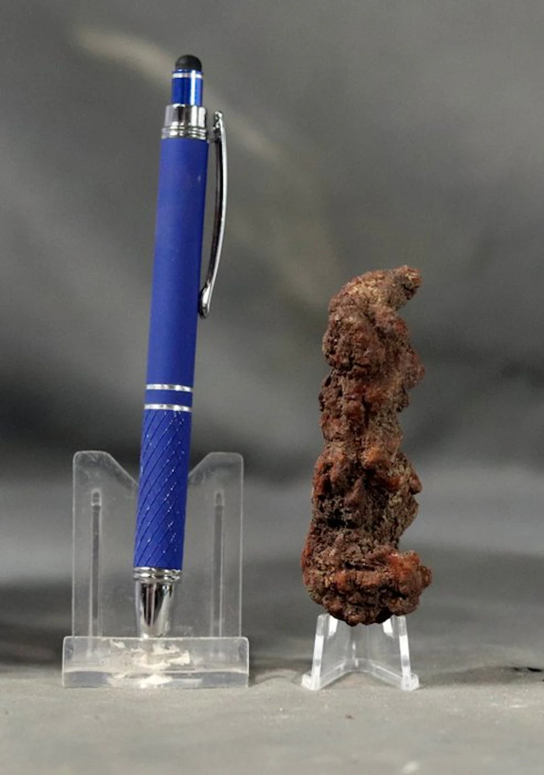 Fossilized dinosaur poop - Fossilised animal - Coprolite...