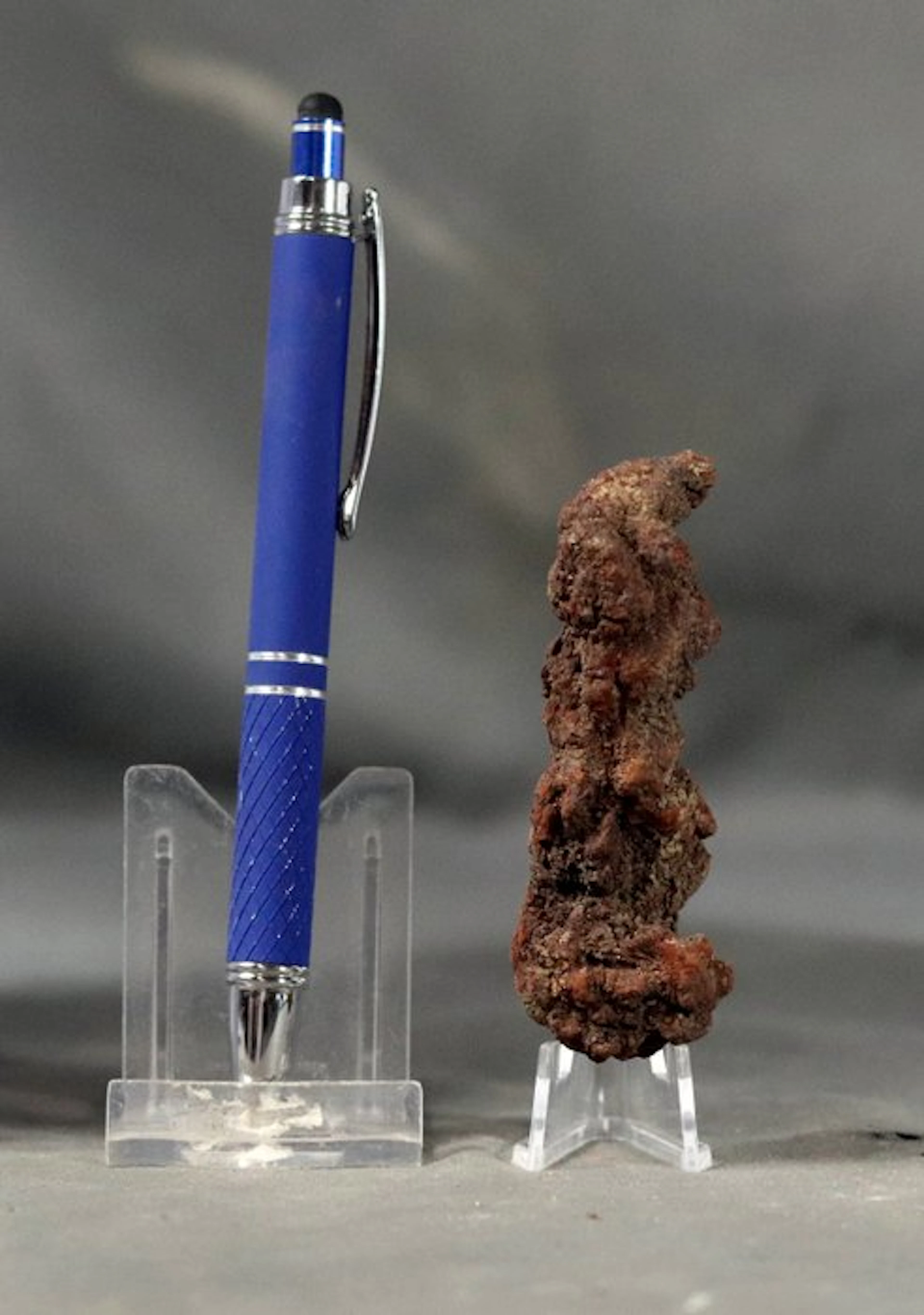Fossilized dinosaur poop - Fossilised animal - Coprolite...