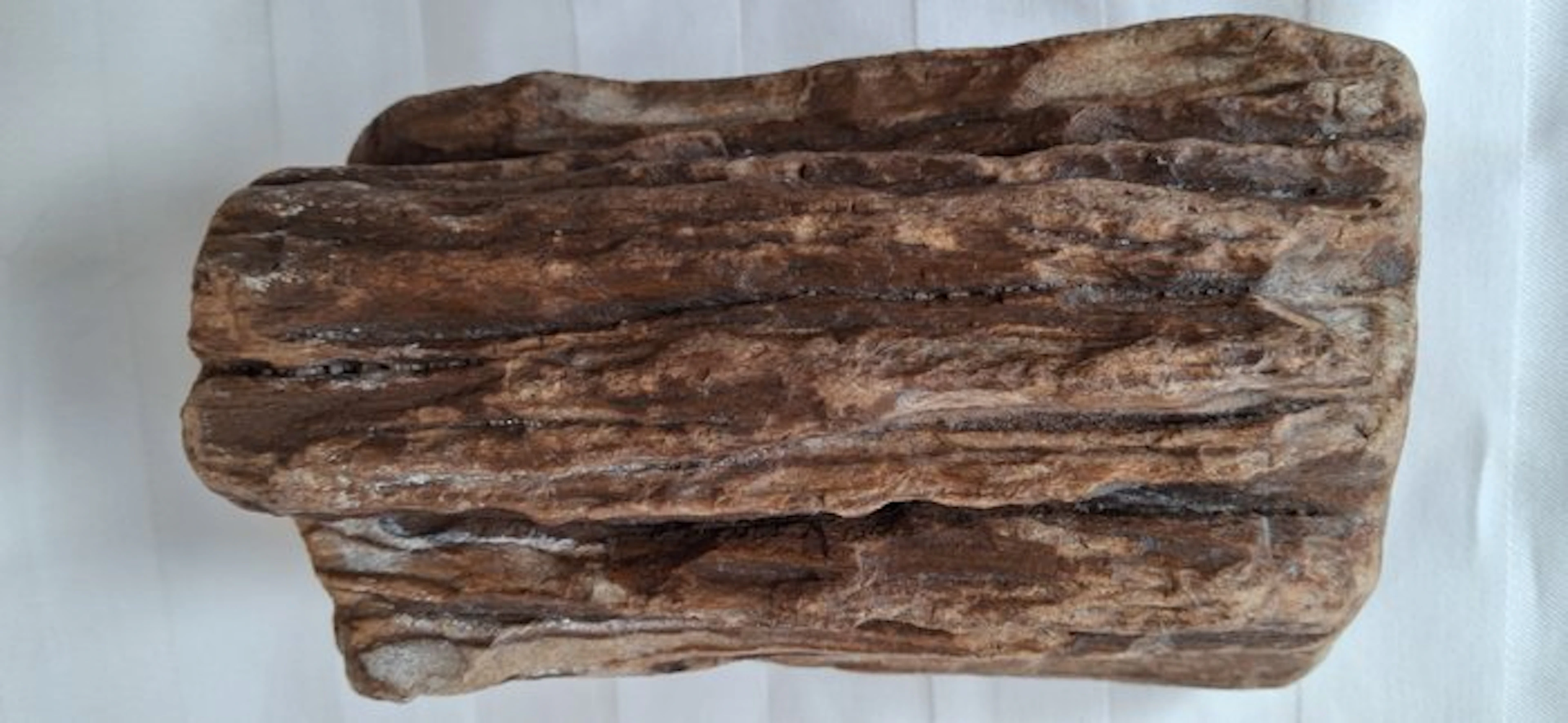 Fossilised wood - 18.3 cm - 12 cm (No reserve price)