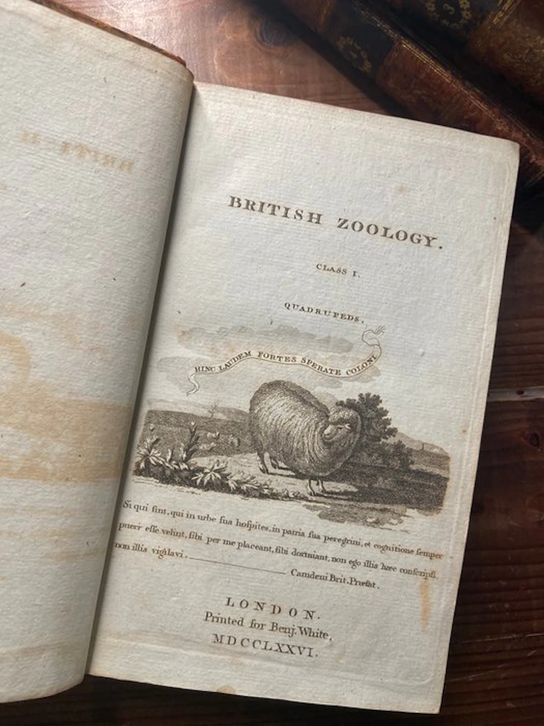 Thomas Pennant - British Zoology (4 voll.) - 1776-1777