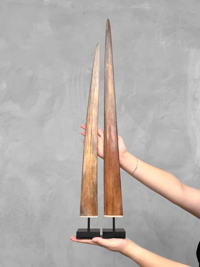 NO RESERVE PRICE - Stunning pair of Swordfish tusk...
