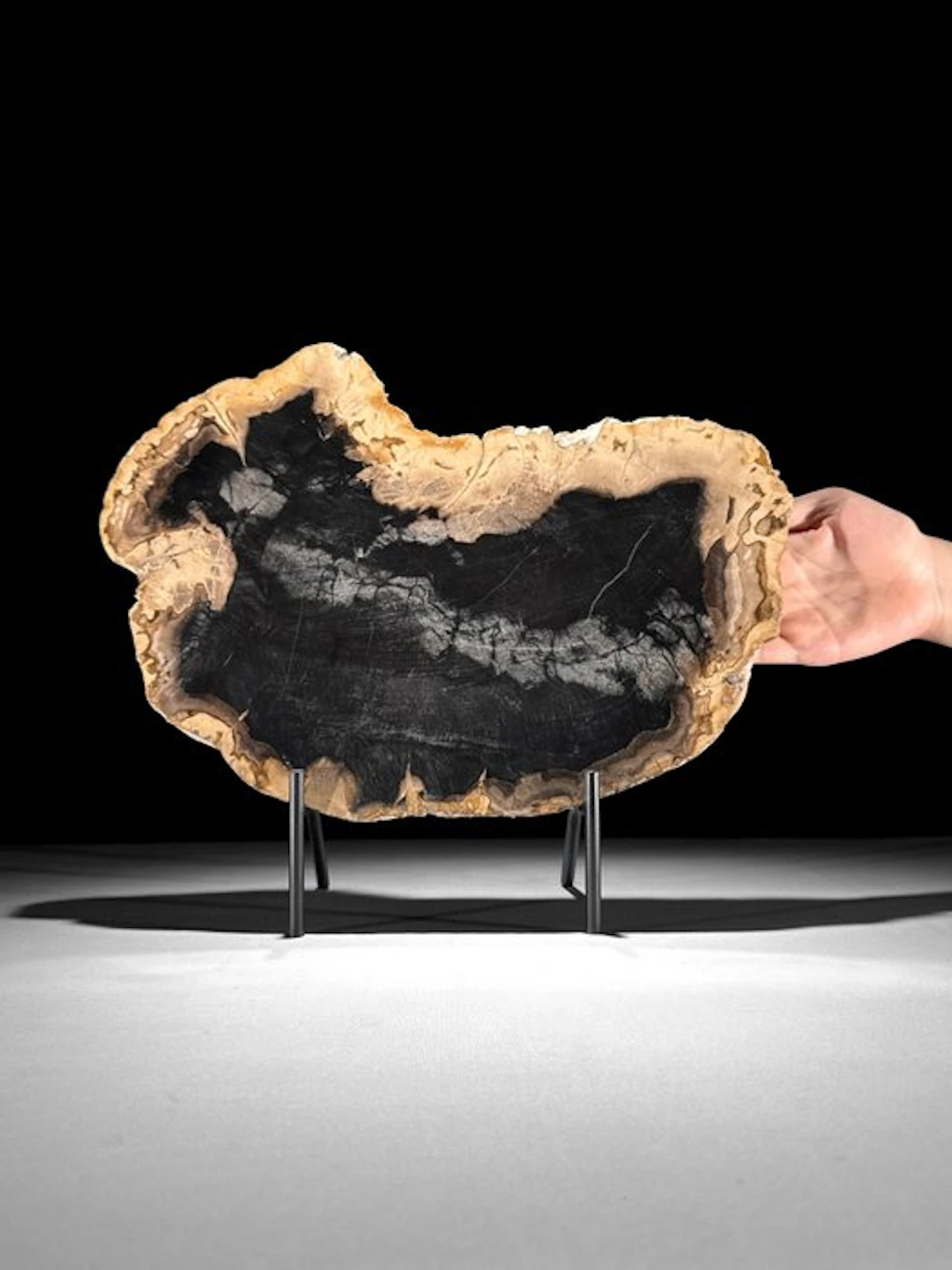 Wonderful Slice of Petrified Wood on a custom stand...