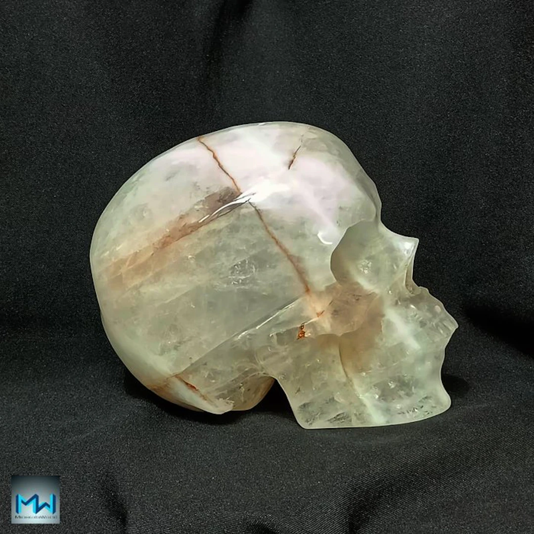 7" Human Skull
