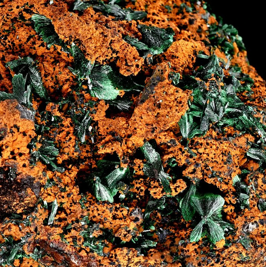 First-quality deep green fan-shaped malachite on limonite