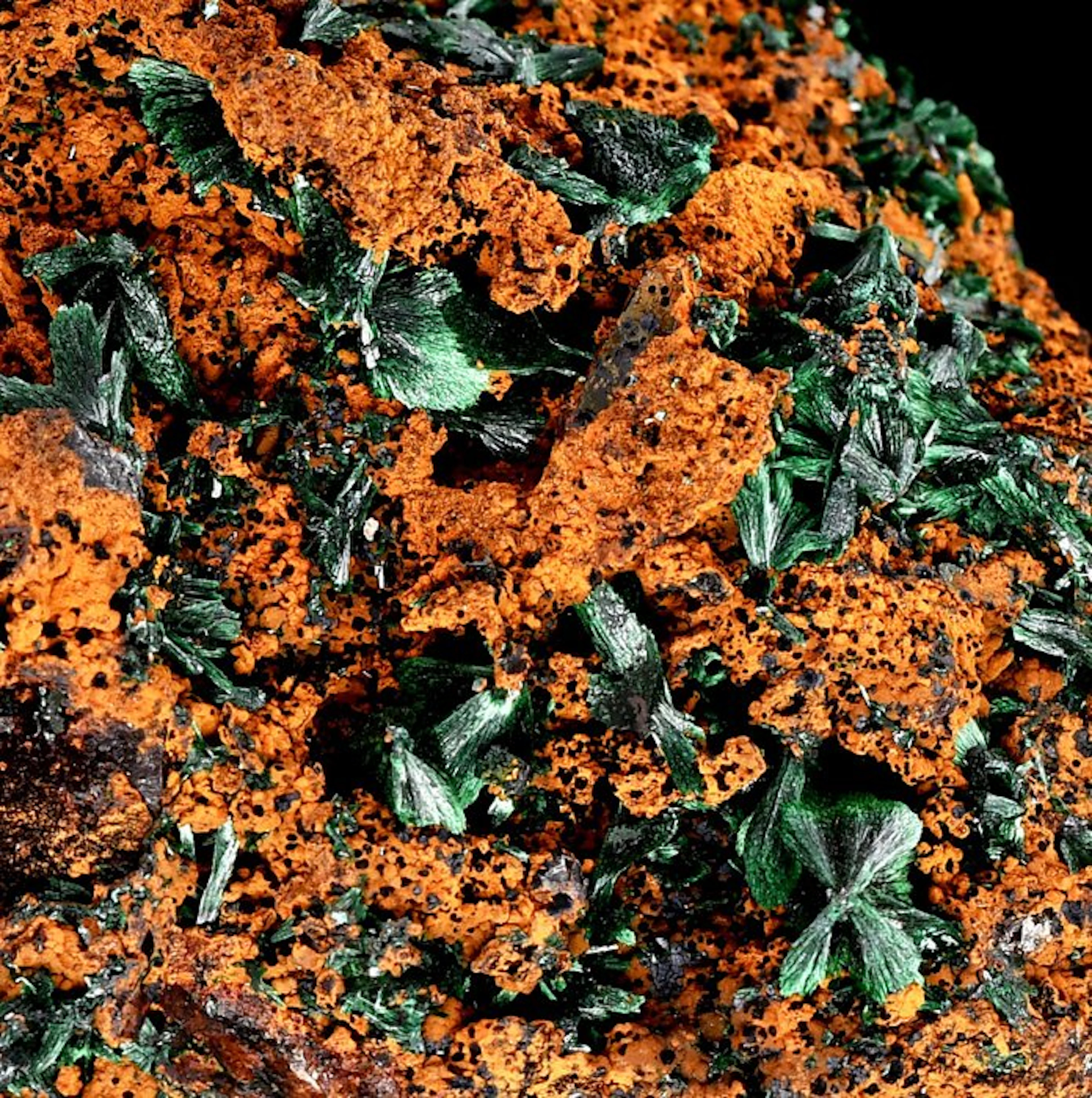 First-quality deep green fan-shaped malachite on limonite