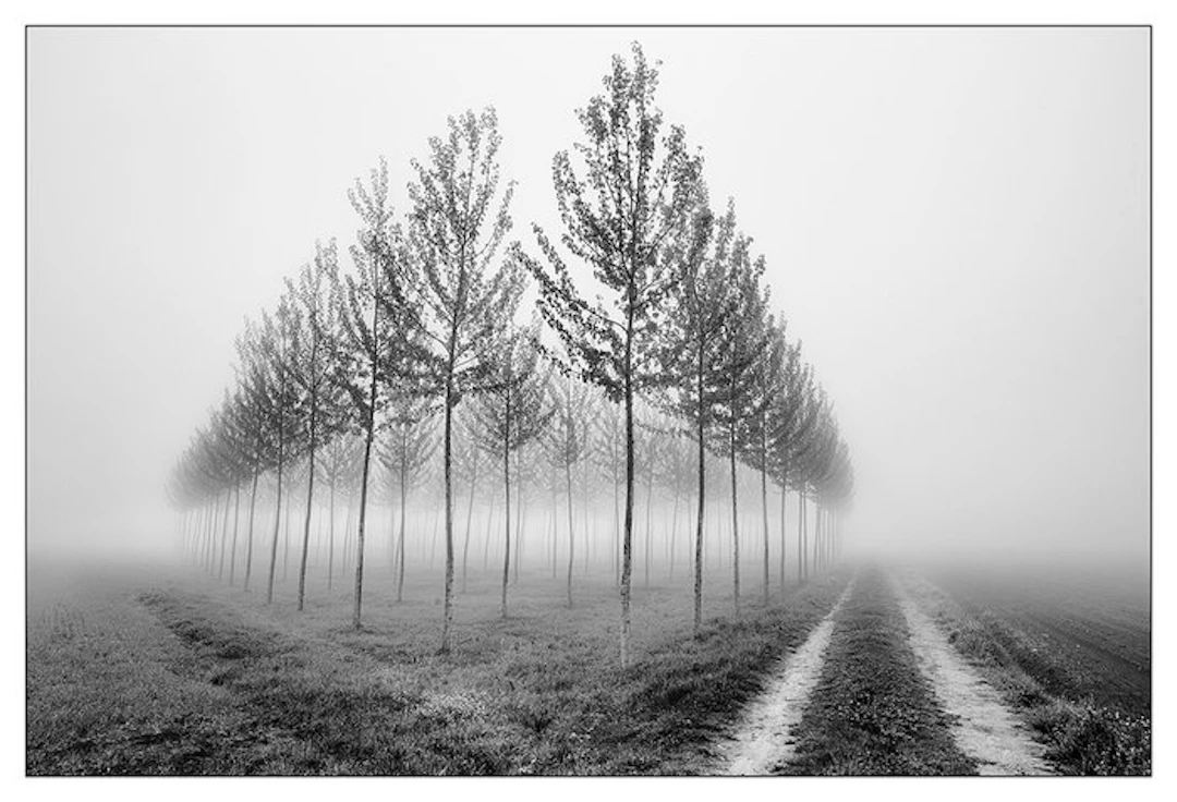 Sergio Sberna - Terre basse (schierati)