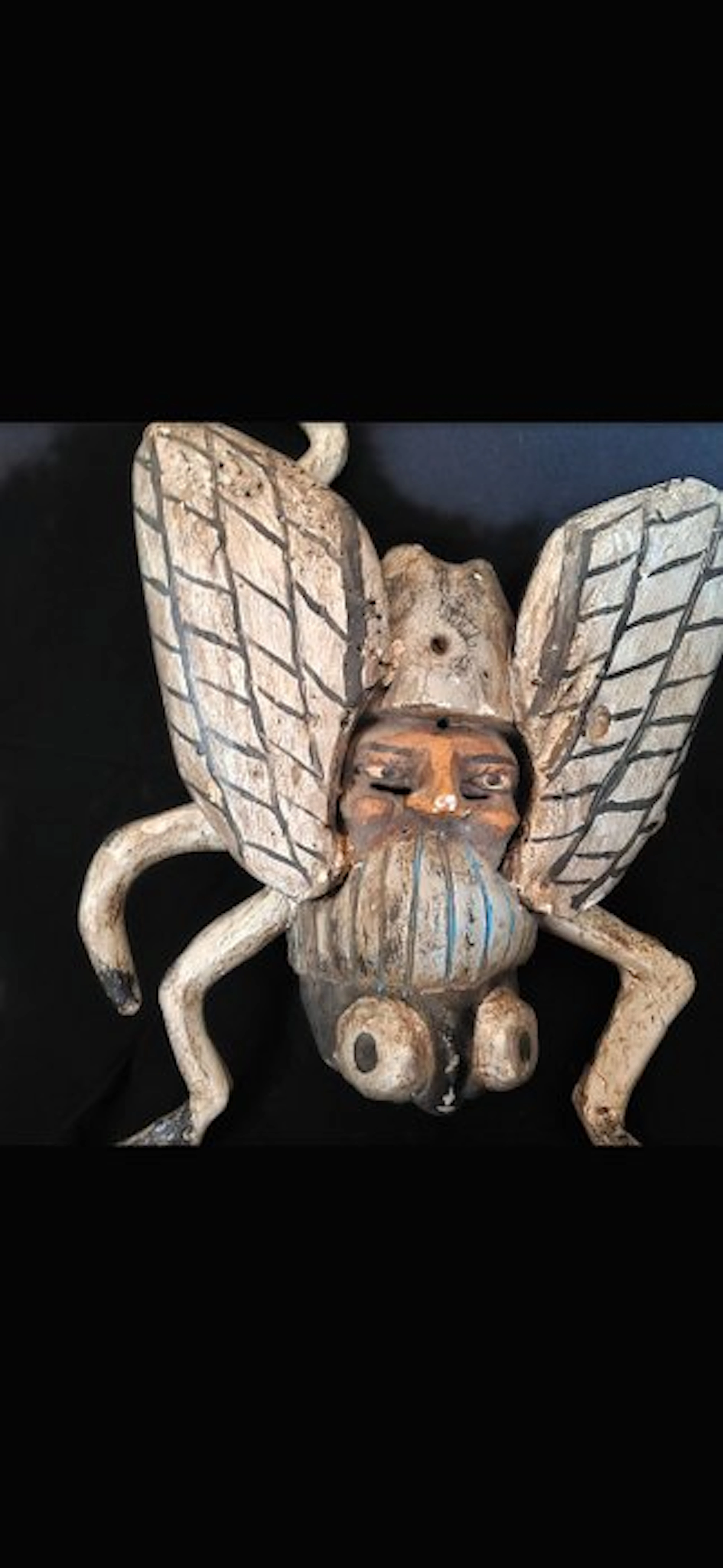 Moth Taxidermy full body mount - Farfalla - 60 cm - 40 cm - 20 cm - 1