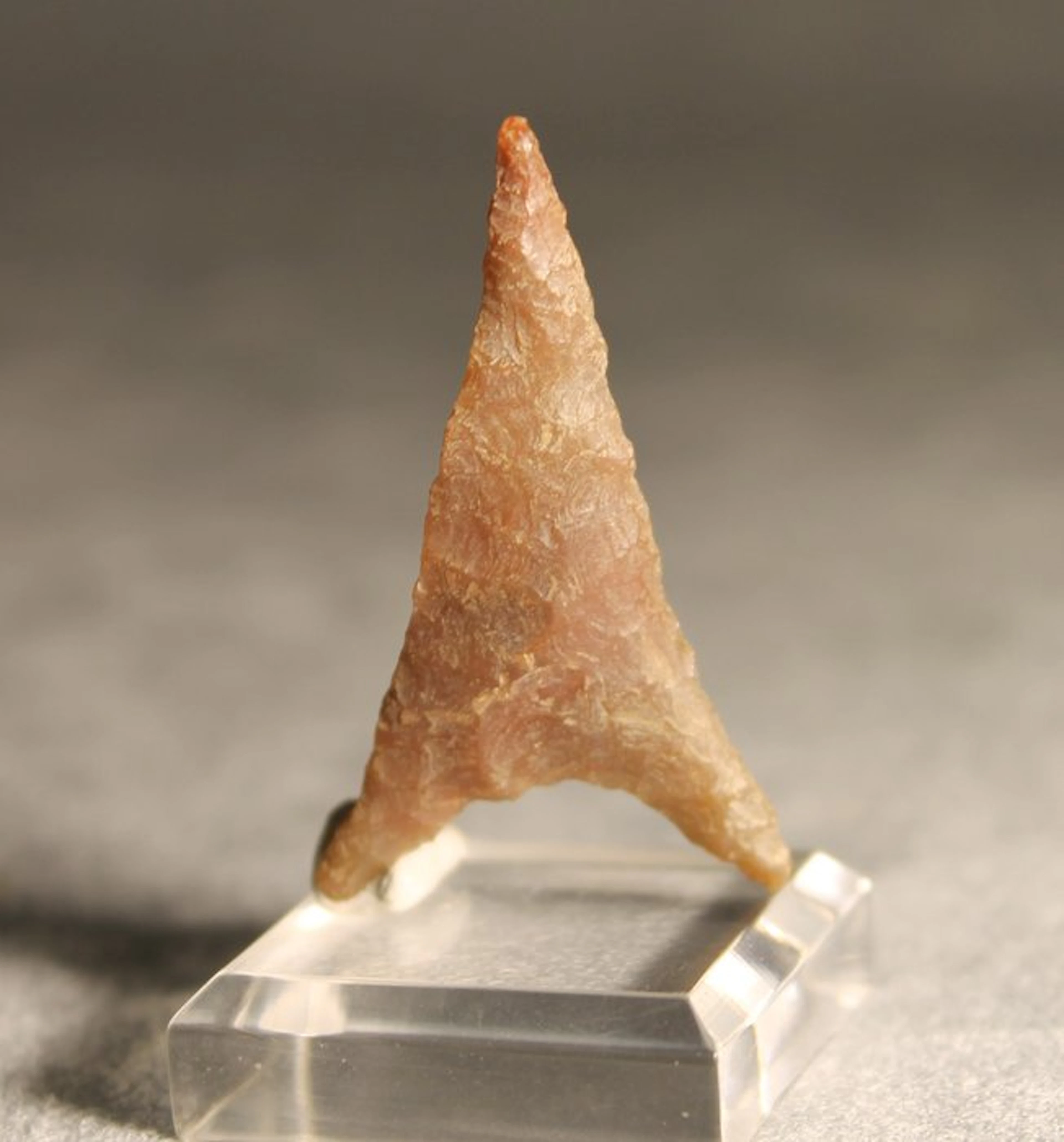 Neolithic Silex Arrow head - 4.3 cm (No reserve price)