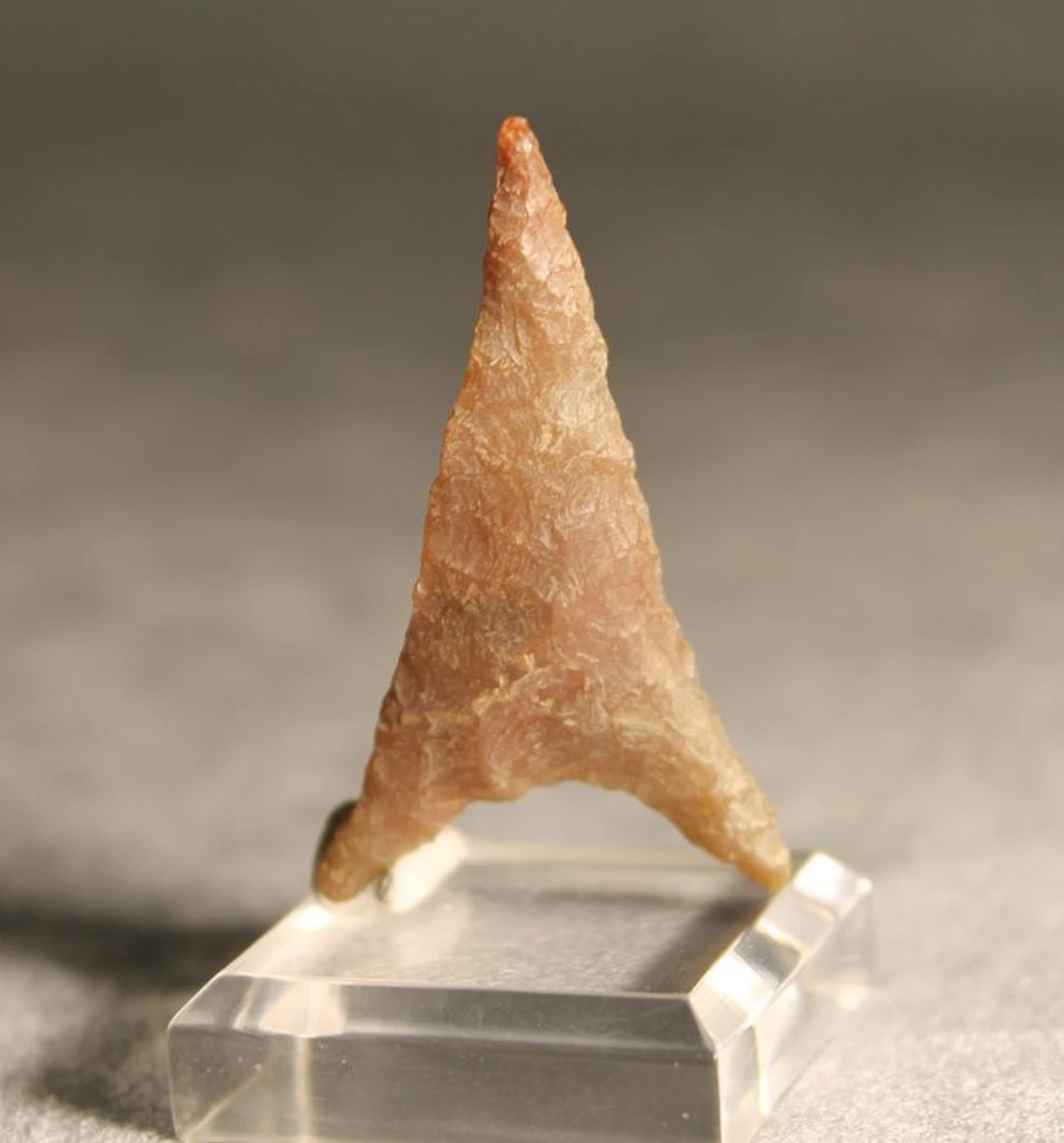 Neolithic Silex Arrow head - 4.3 cm (No reserve price)